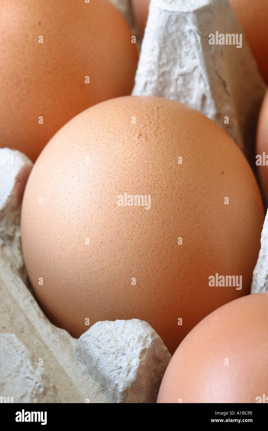 Fresh Eggs Stock Photo