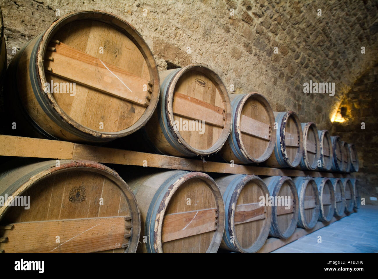 Rows of wooden wine barrels in the cellar of a castle, Cazeneuve, Gers, France. Stock Photo