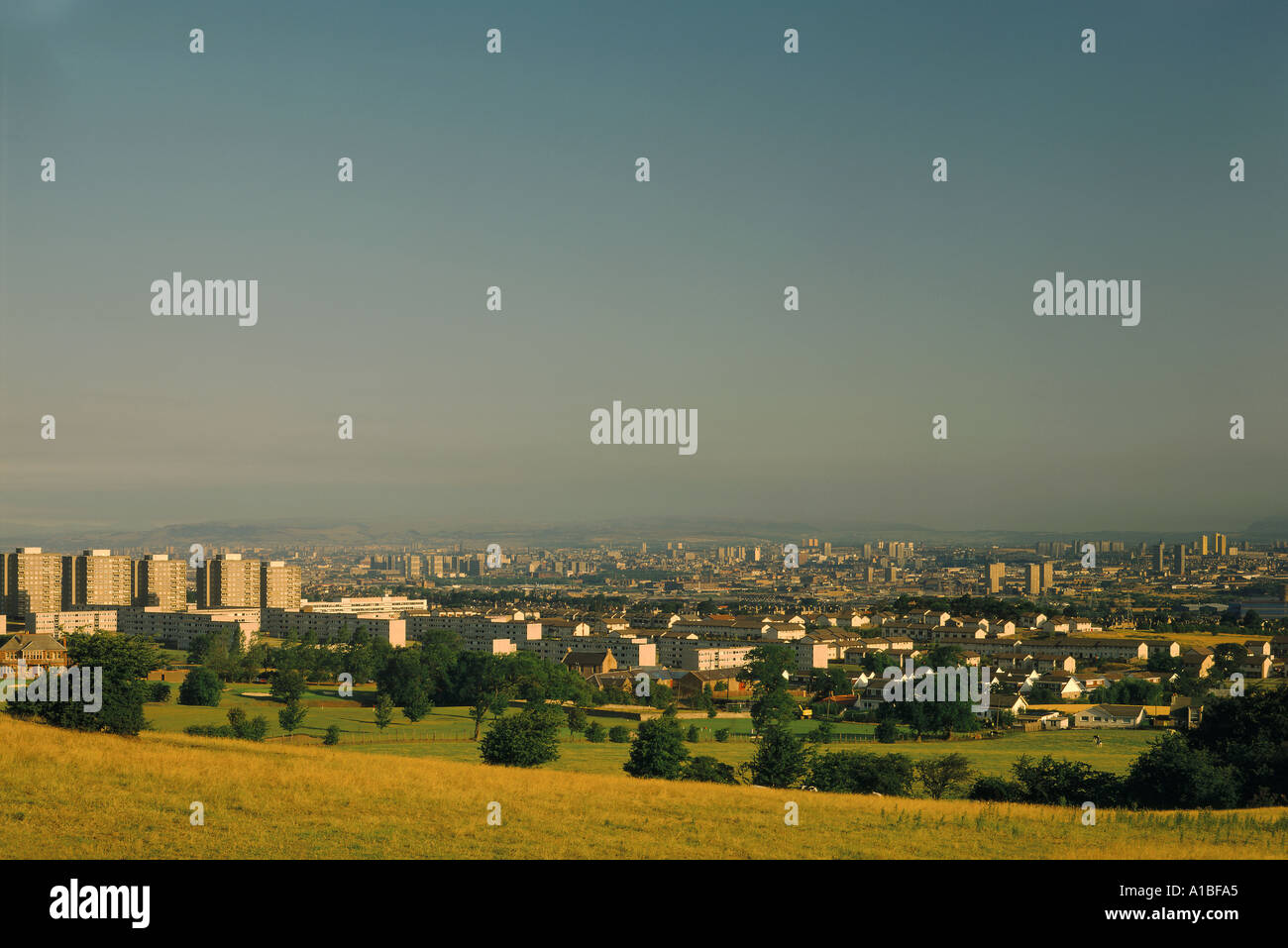 Tower blocks in suburban Glasgow Scotland Stock Photo Alamy