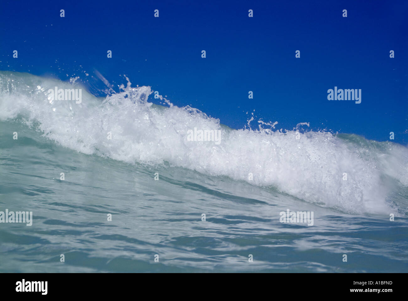 Waves - Crashing foamy wave breaking in the blue ocean waters. Stock Photo