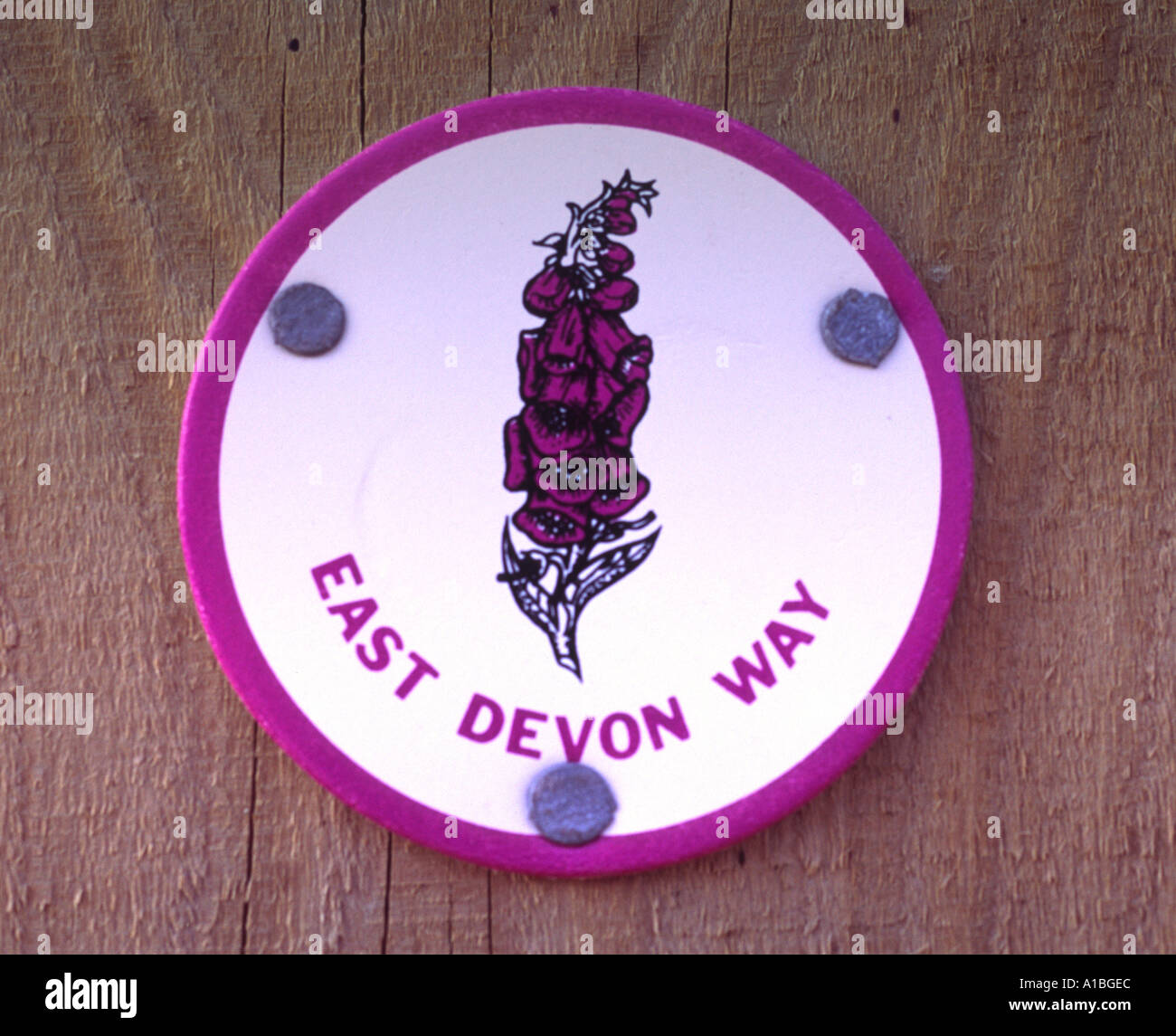 East Devon Way sign Stock Photo Alamy