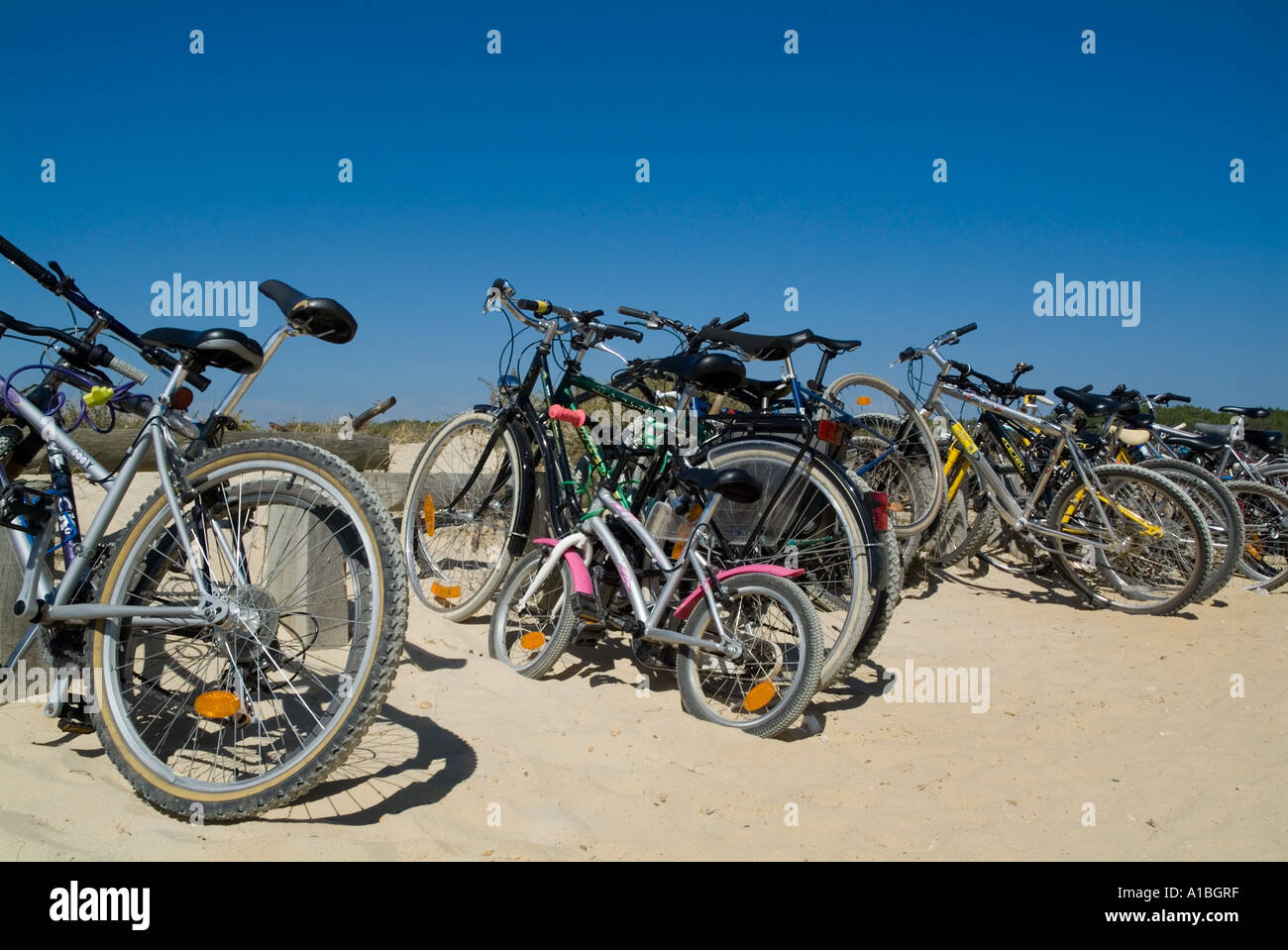 Row of bicycles parked along the beach, Biscarrosse, Aquitaine, France. Stock Photo
