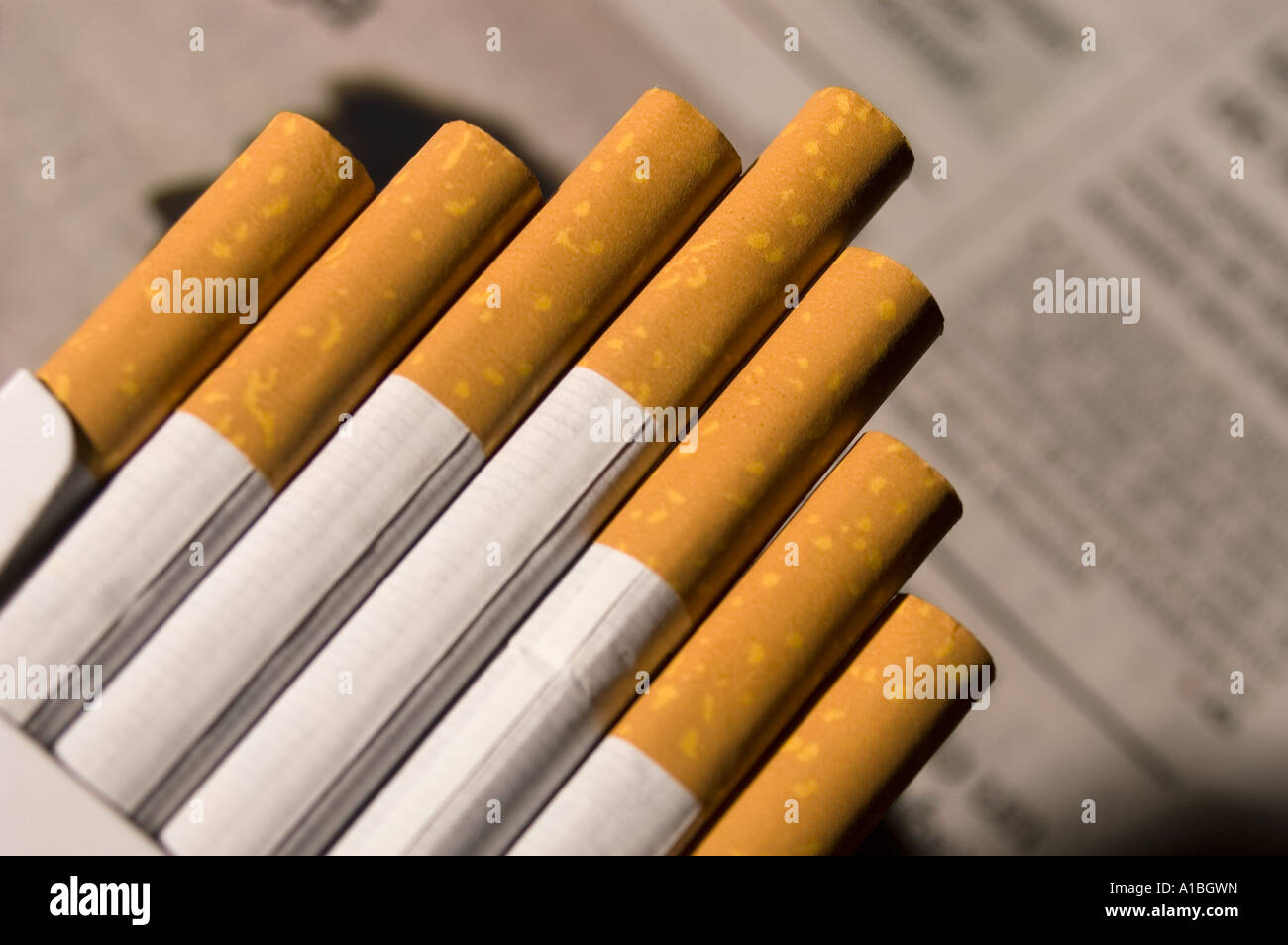 Cigarette tips in an open pack showing the foam texture of the filters