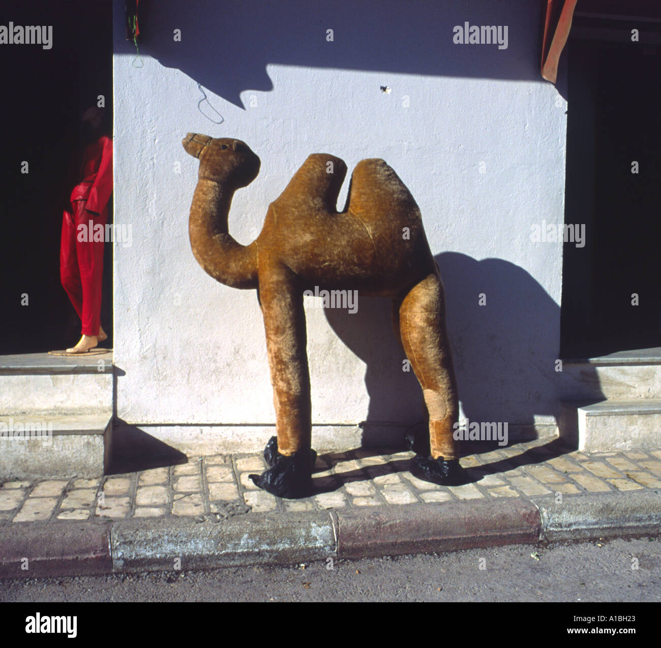 Dummy camel Sousse Tunisia Stock Photo