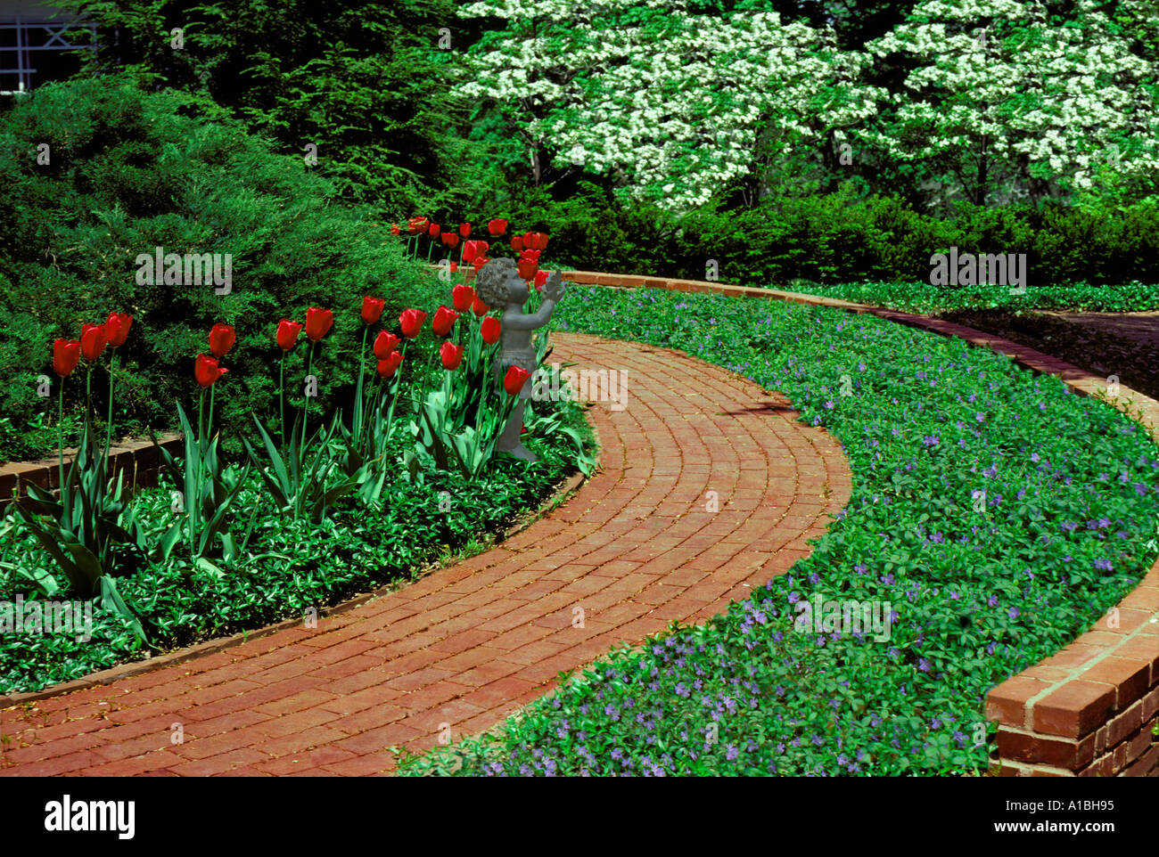 Garden with curving brick path or walkway through vinca groundcover and blooming dogwood trees Stock Photo