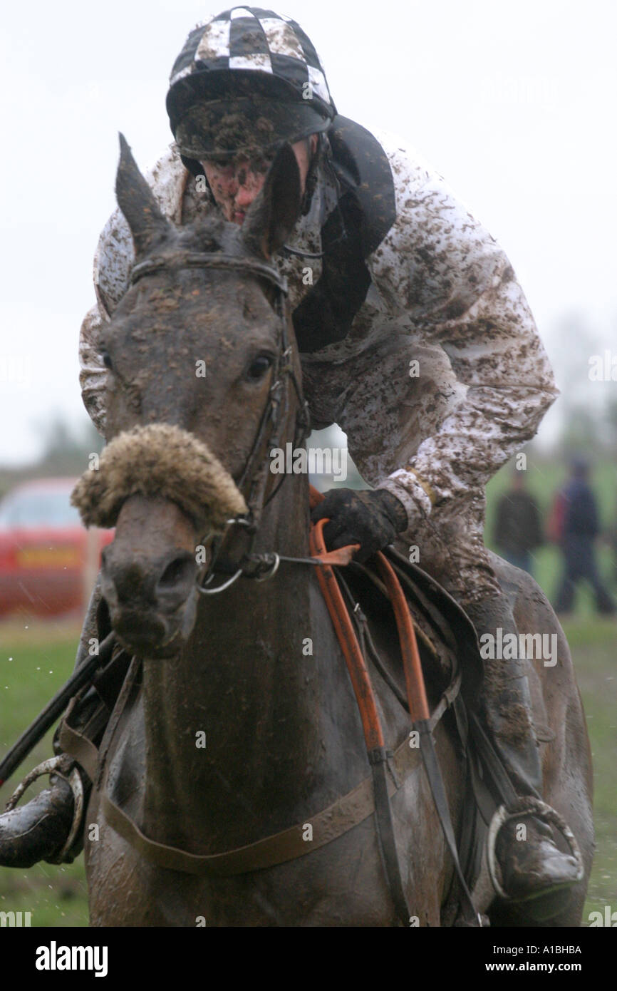 Mud splattered jockey and horse reach the finish line at Maralin Point to Point near Moira County Down Northern Ireland Stock Photo