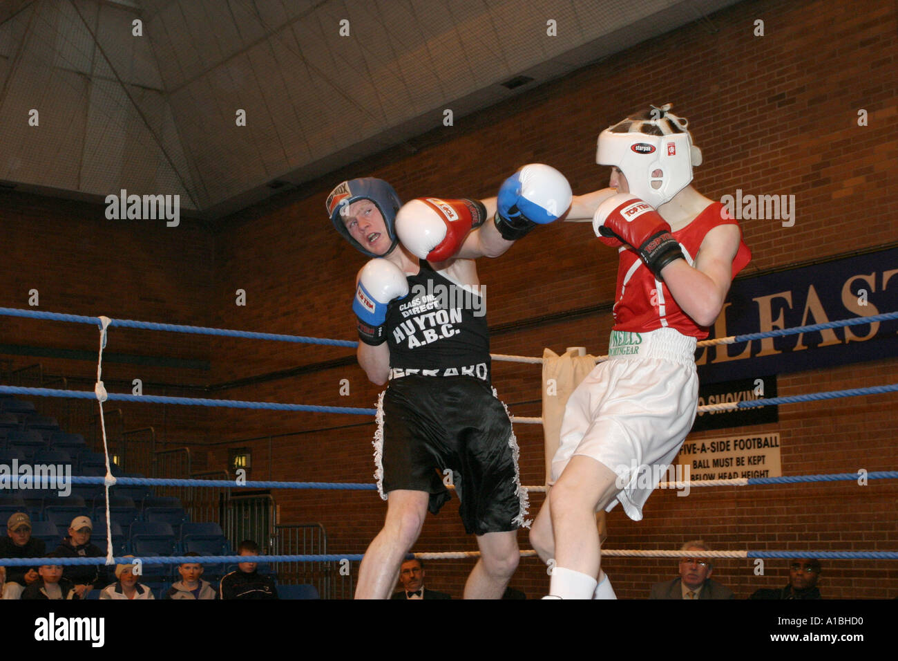 action irish amateur boxing association multi nation belfast cup andersonstown leisure centre northern ireland Stock Photo