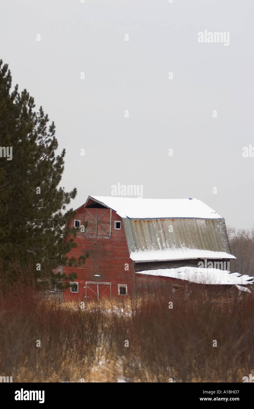 Trees red barn covered in hi-res stock photography and images - Alamy