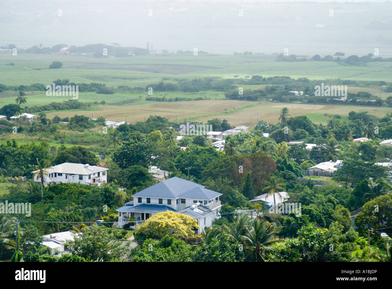 Barbados development houses old and new seen from Gun Hill Stock Photo