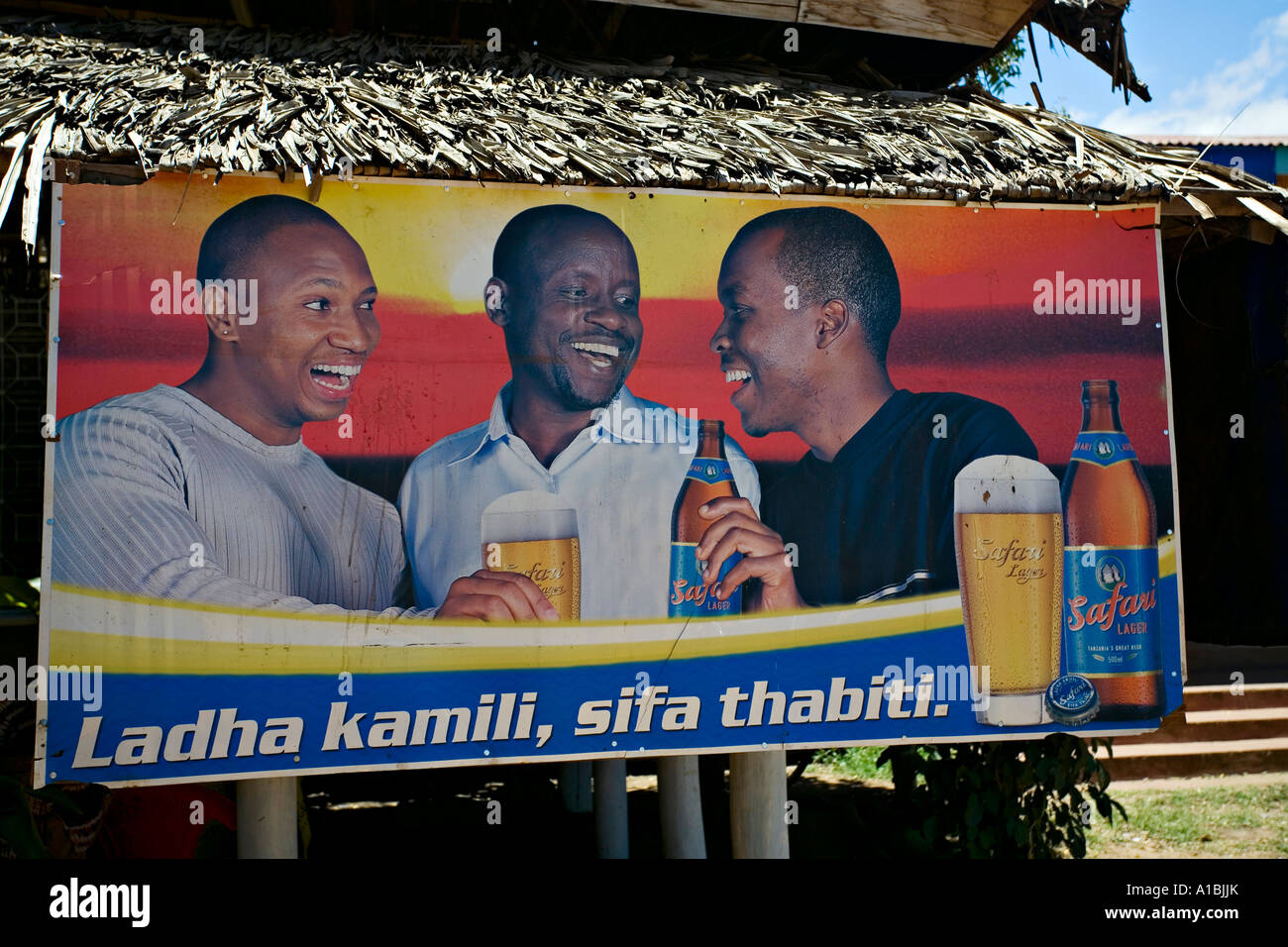 Safari beer advertisement, Tanzania, Africa Stock Photo Alamy