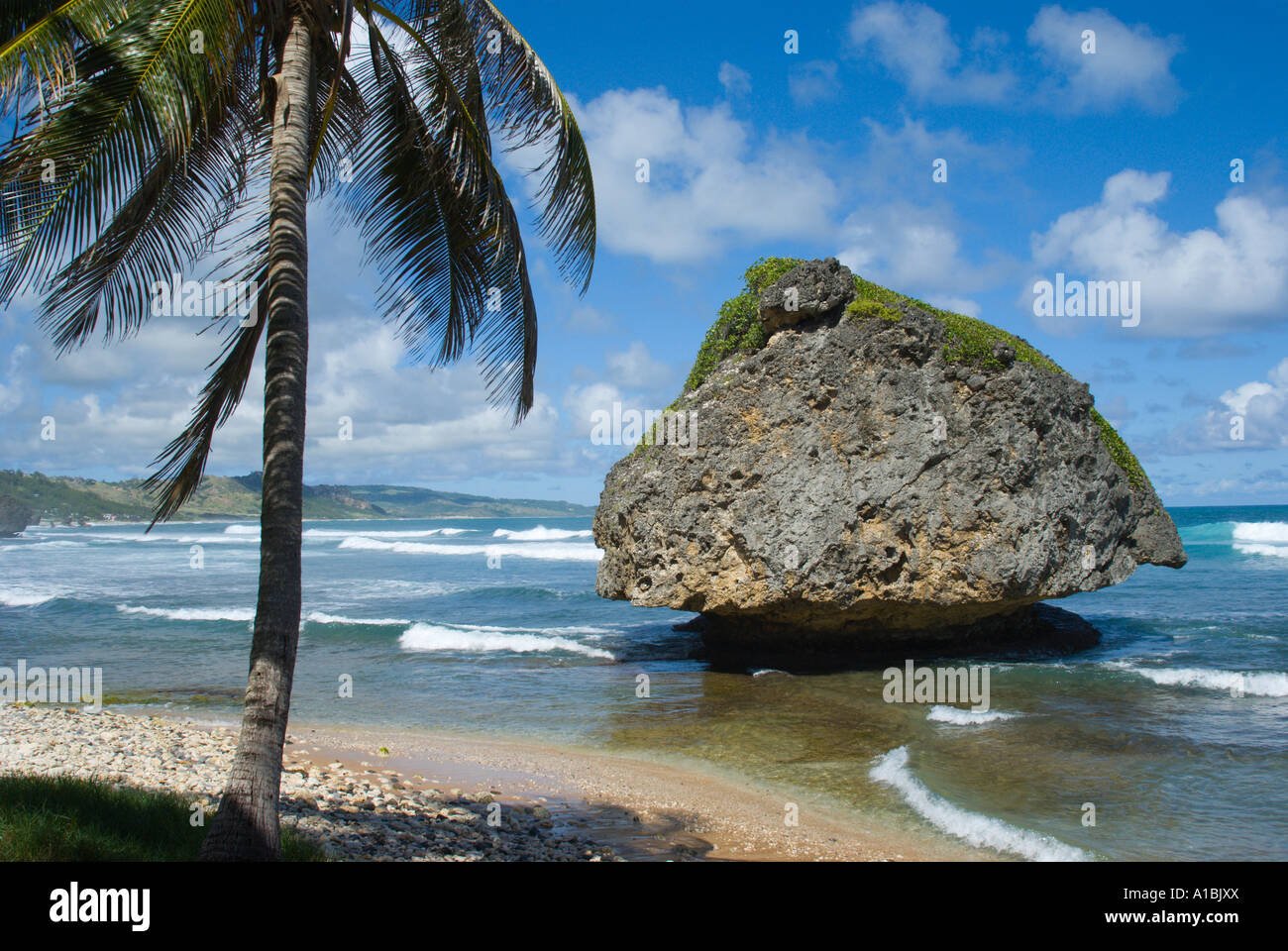 Barbados Bathsheba St Joseph parish east coast surf resort - big rock ...