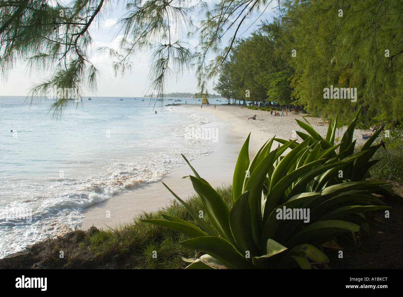 Barbados Enterprise Beach Oistins Stock Photo Alamy