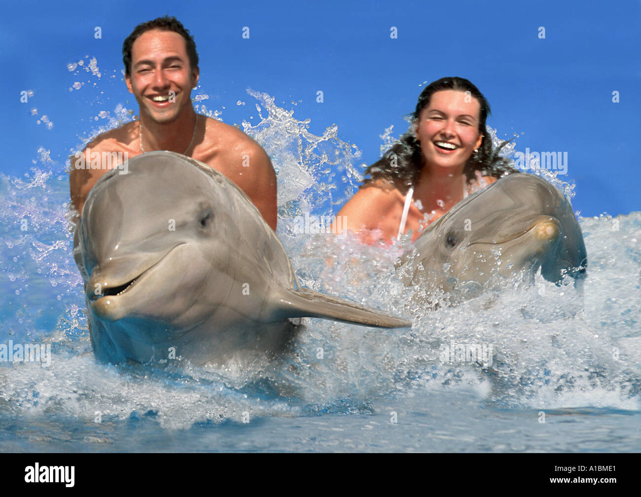 Rides dolphins hi-res stock photography and images - Alamy