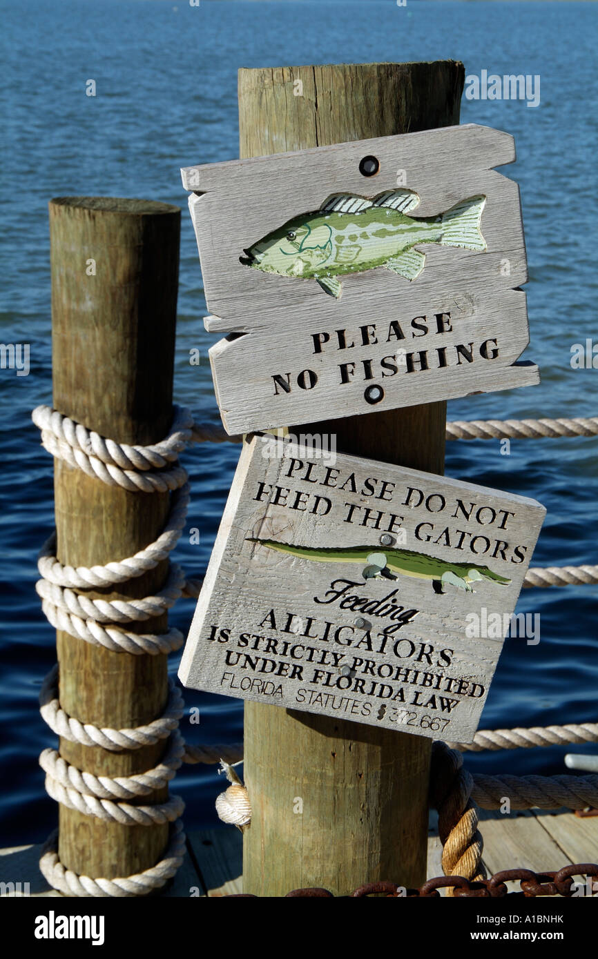 Do Not Feed the alligators and No Fishing signs. Florida USA Stock