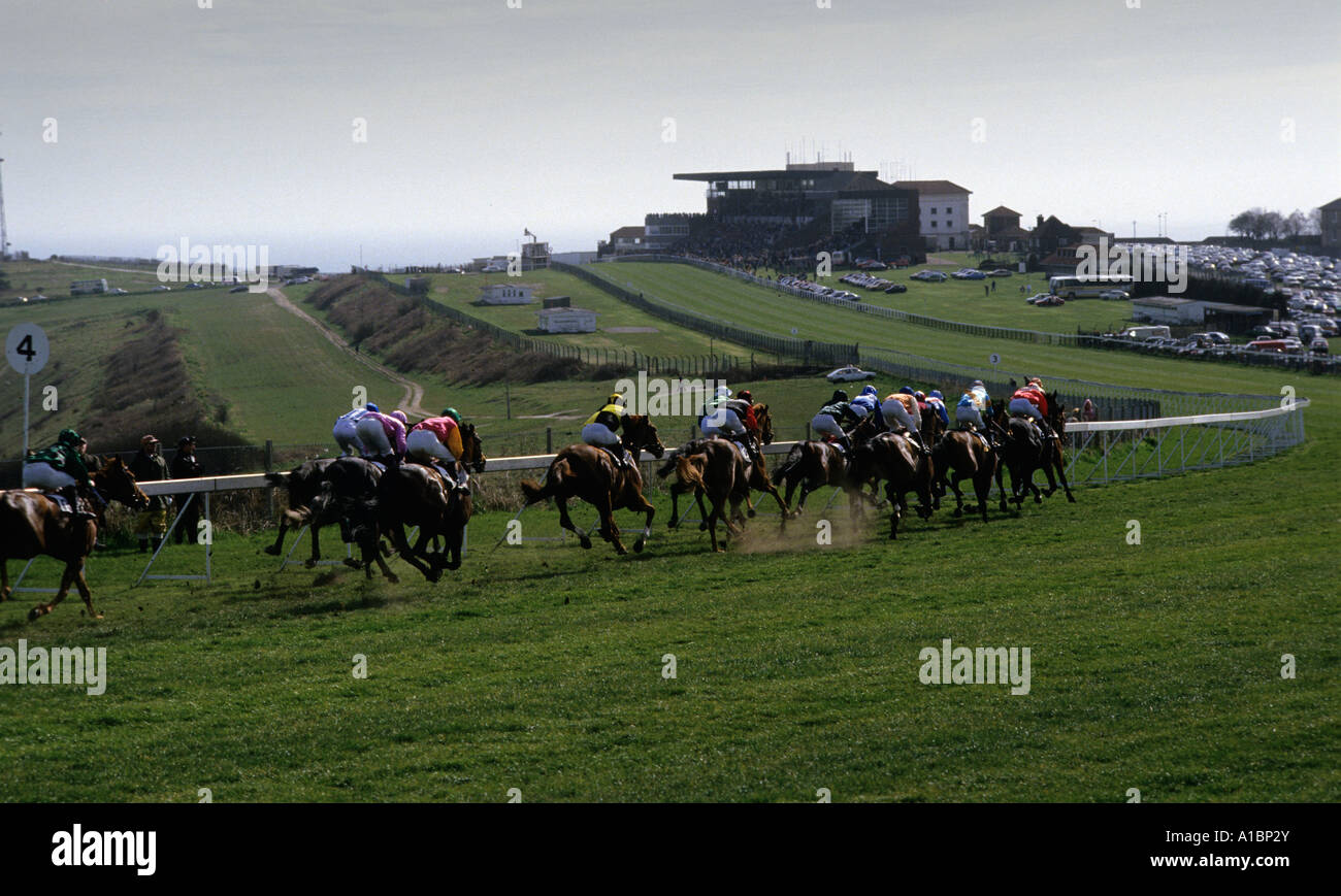 Sussex Races Horses races england hi-res stock photography and images - Alamy