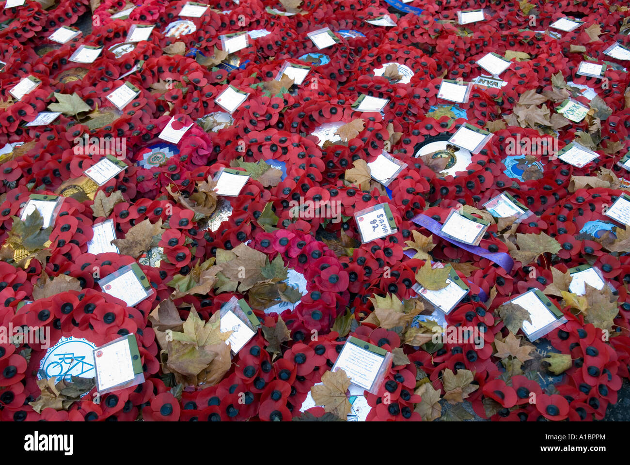 POPPY WREATHS AT THE CENOTAPH LONDON MEMORIAL TO WAR DEAD 2006 Stock ...