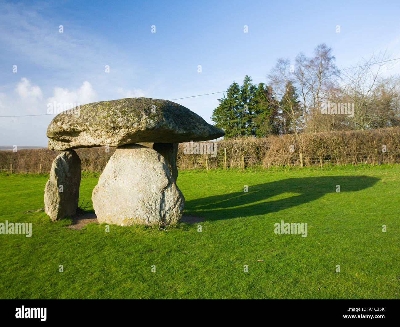 Spinster Rock ancient burial chamber at Shilstone dartmoor national park devon UK Stock Photo