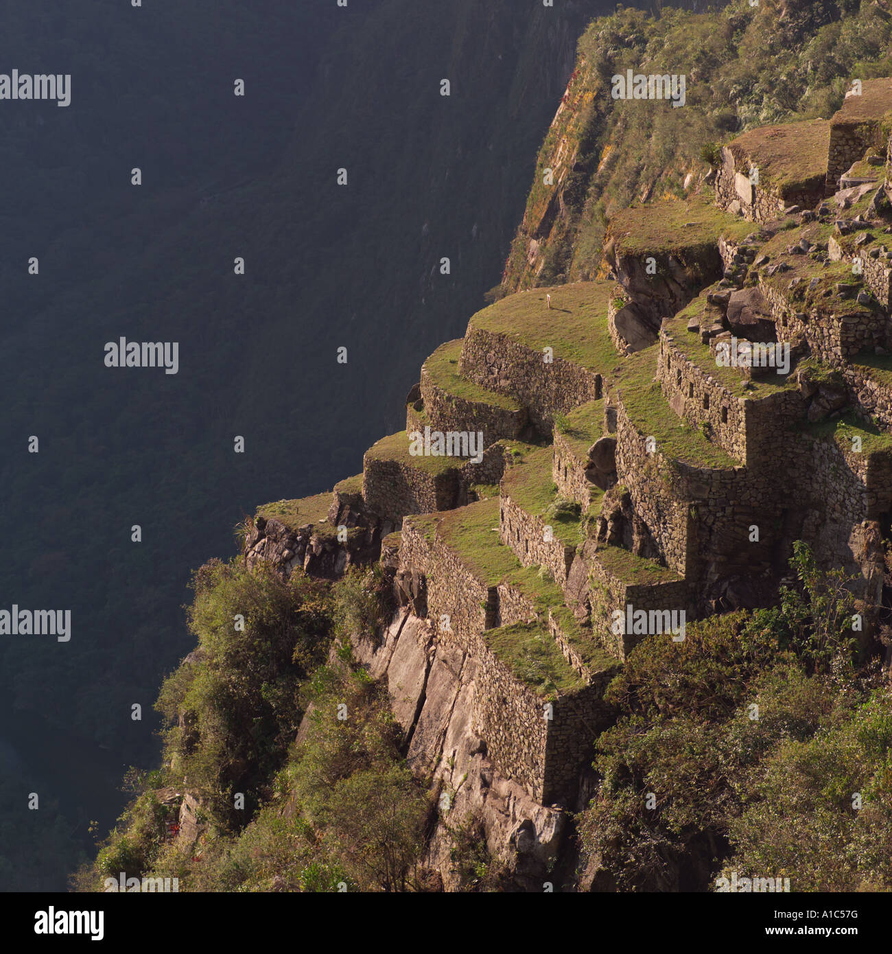 Peru Machu Picchu Stock Photo - Alamy