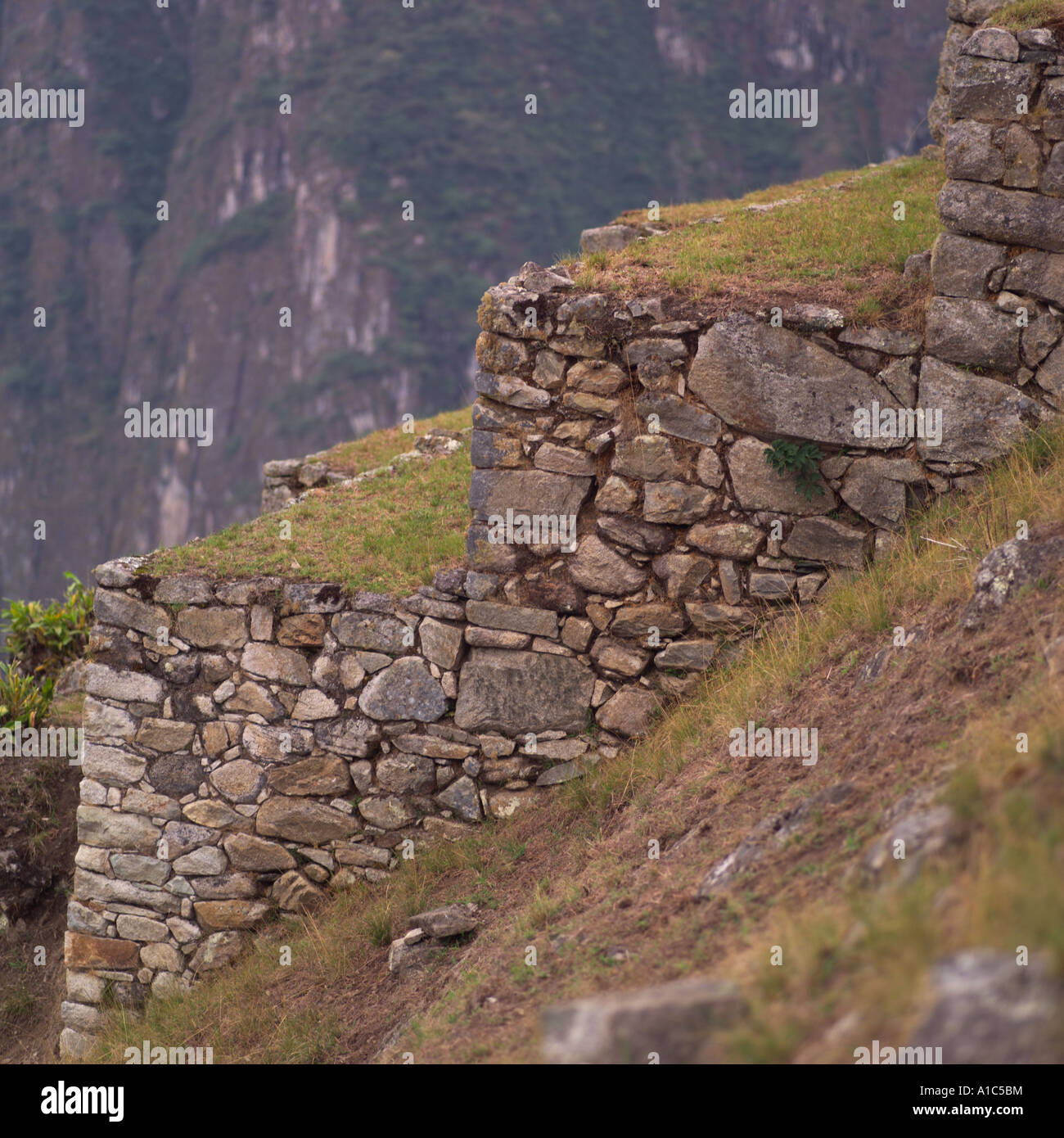 Peru Machu Picchu Stock Photo - Alamy