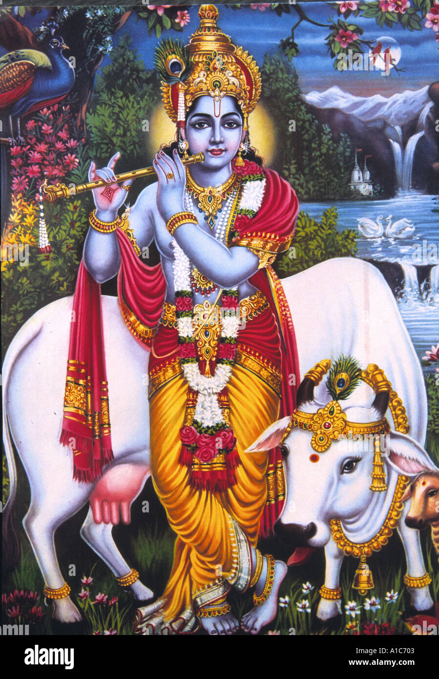 The Hindu God Krishna in a typical pose blowing his flute in the company of a sacred cow Stock Photo