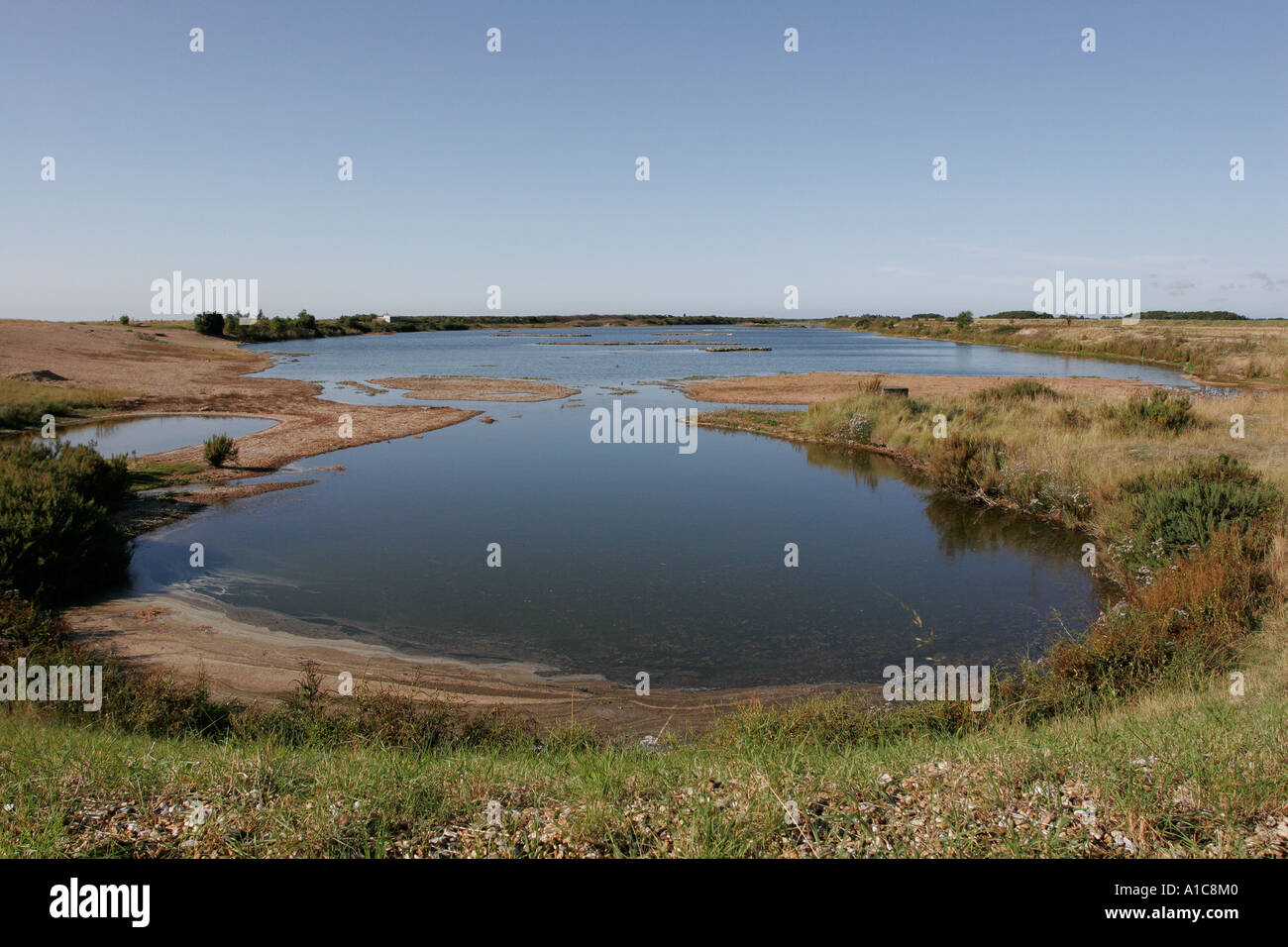 rspb reserve norfolk hires stock photography and images Alamy