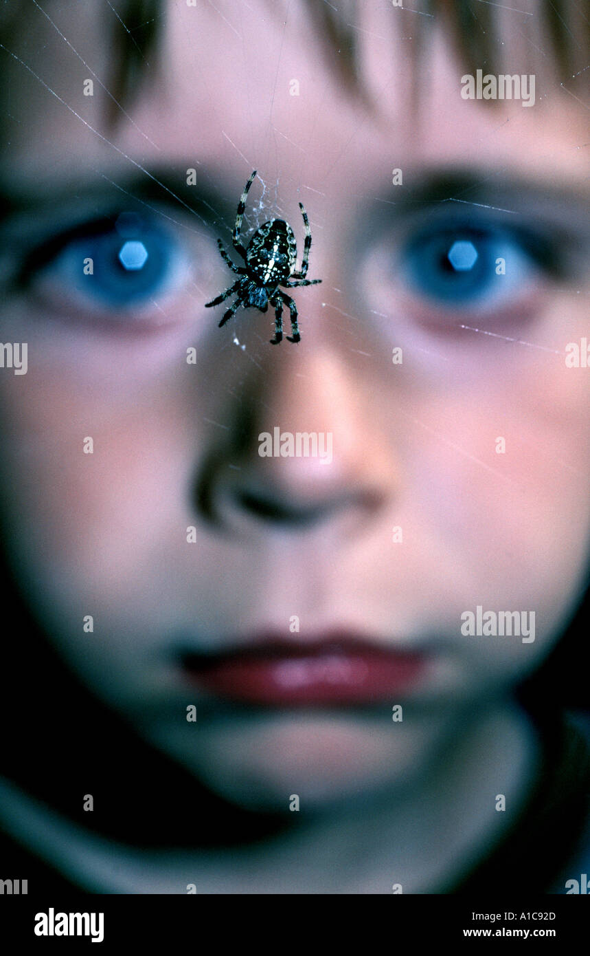 Young Boy by Spider s web Stock Photo