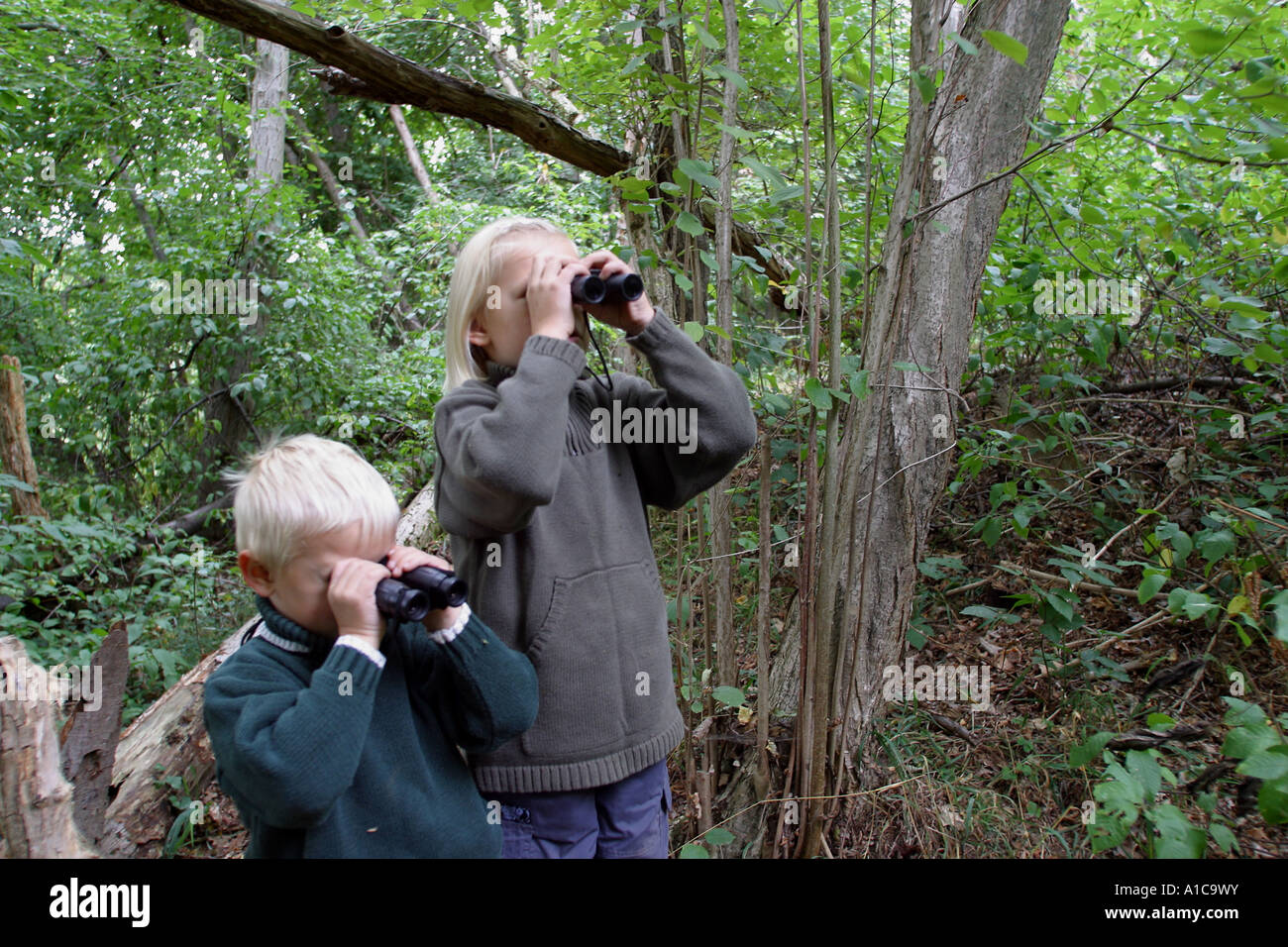 girl and boy discovering the forest with binoculars Stock Photo Alamy