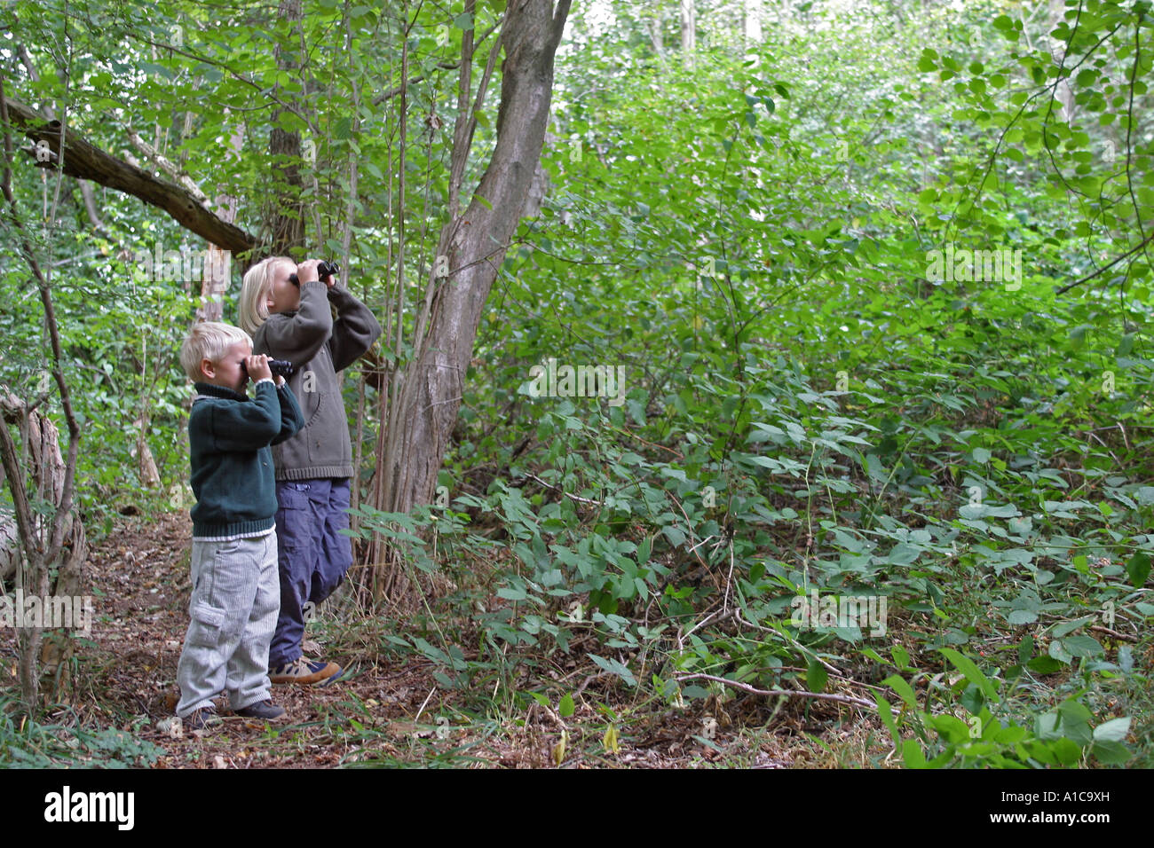 girl and boy discovering the forest with binoculars Stock Photo