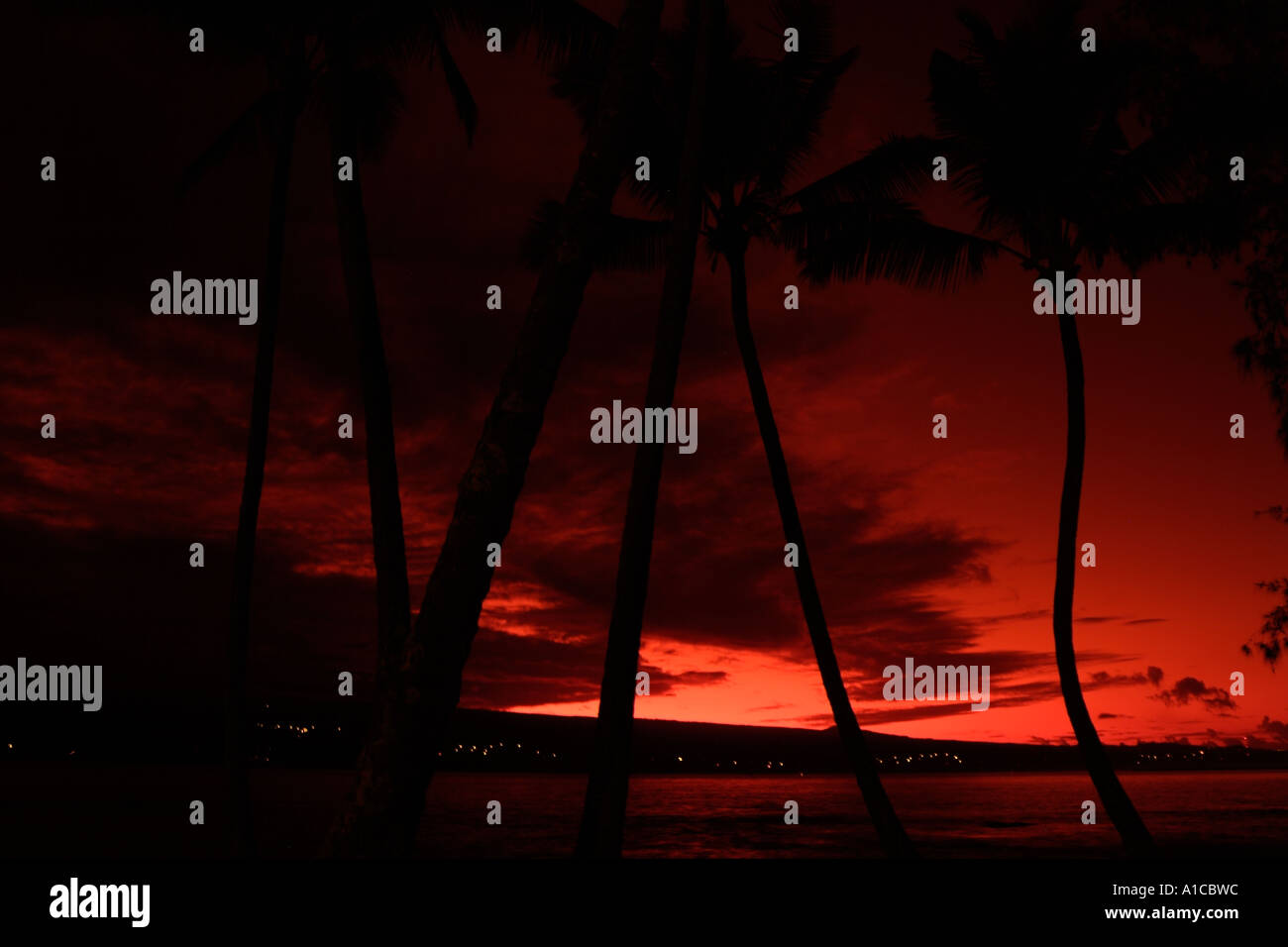 Hilo hawaii beach hi-res stock photography and images - Page