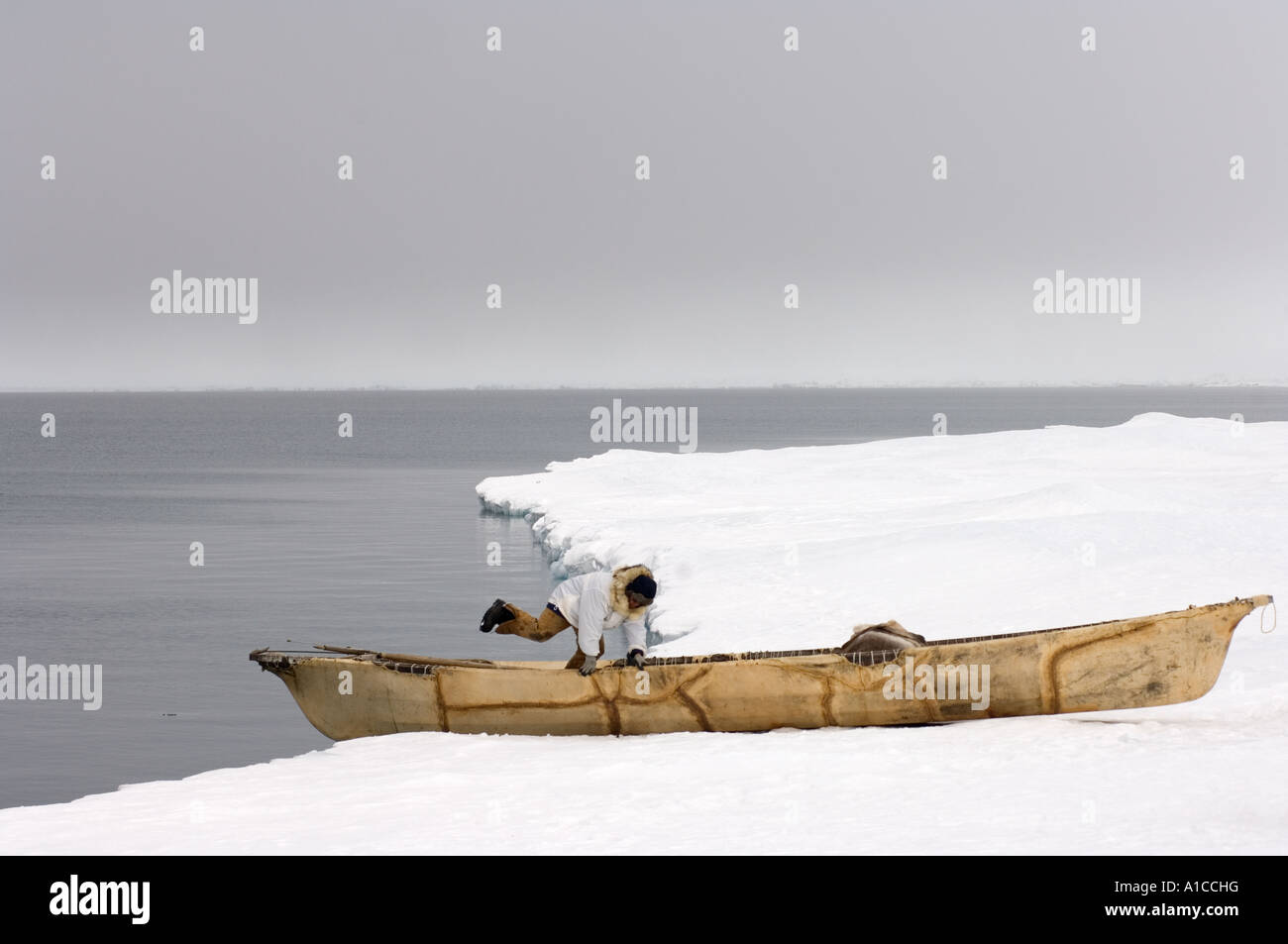 Indigenous whaling boat hi-res stock photography and images - Alamy