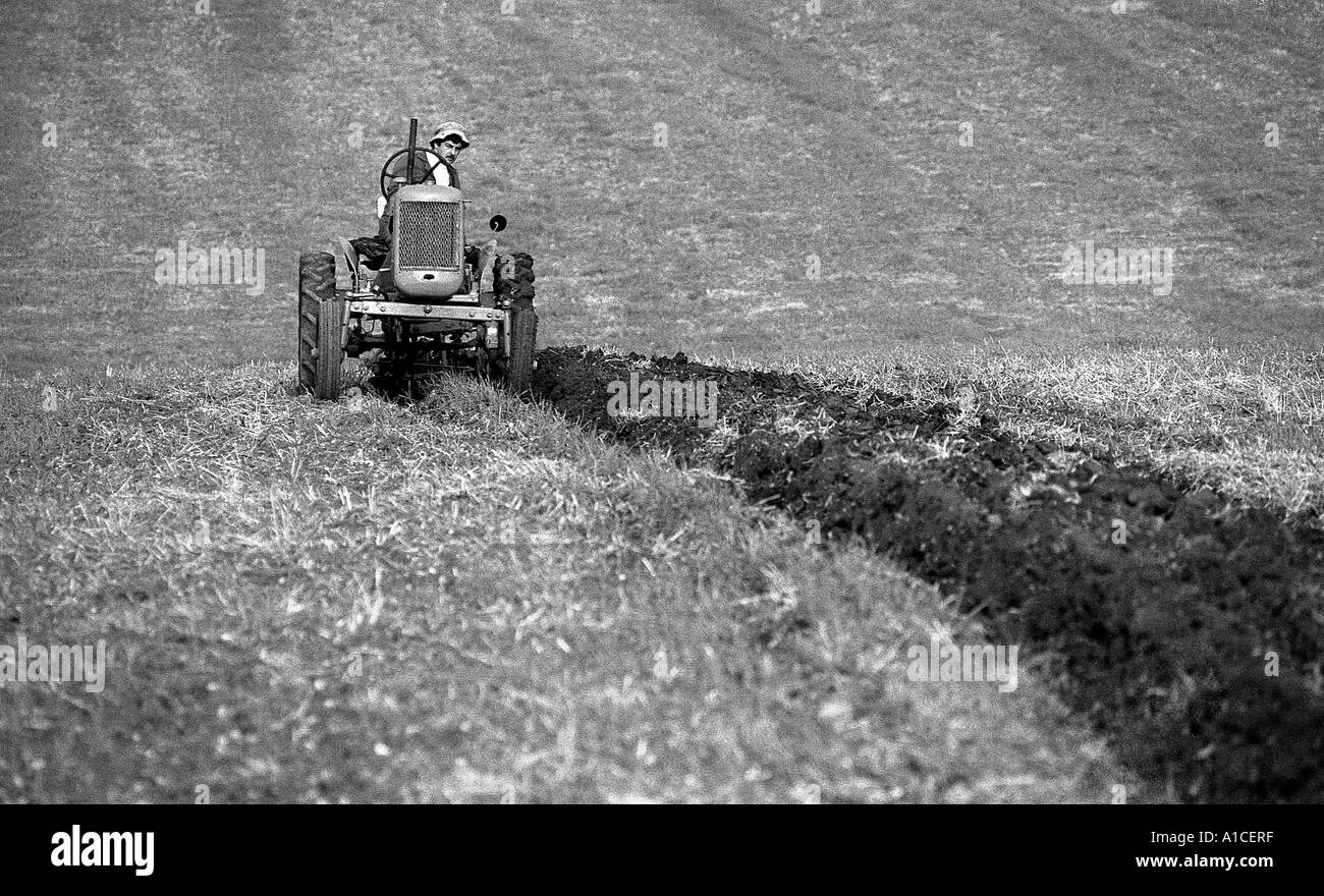 Man in ploughing contest driving old tractor and plough. Stock Photo
