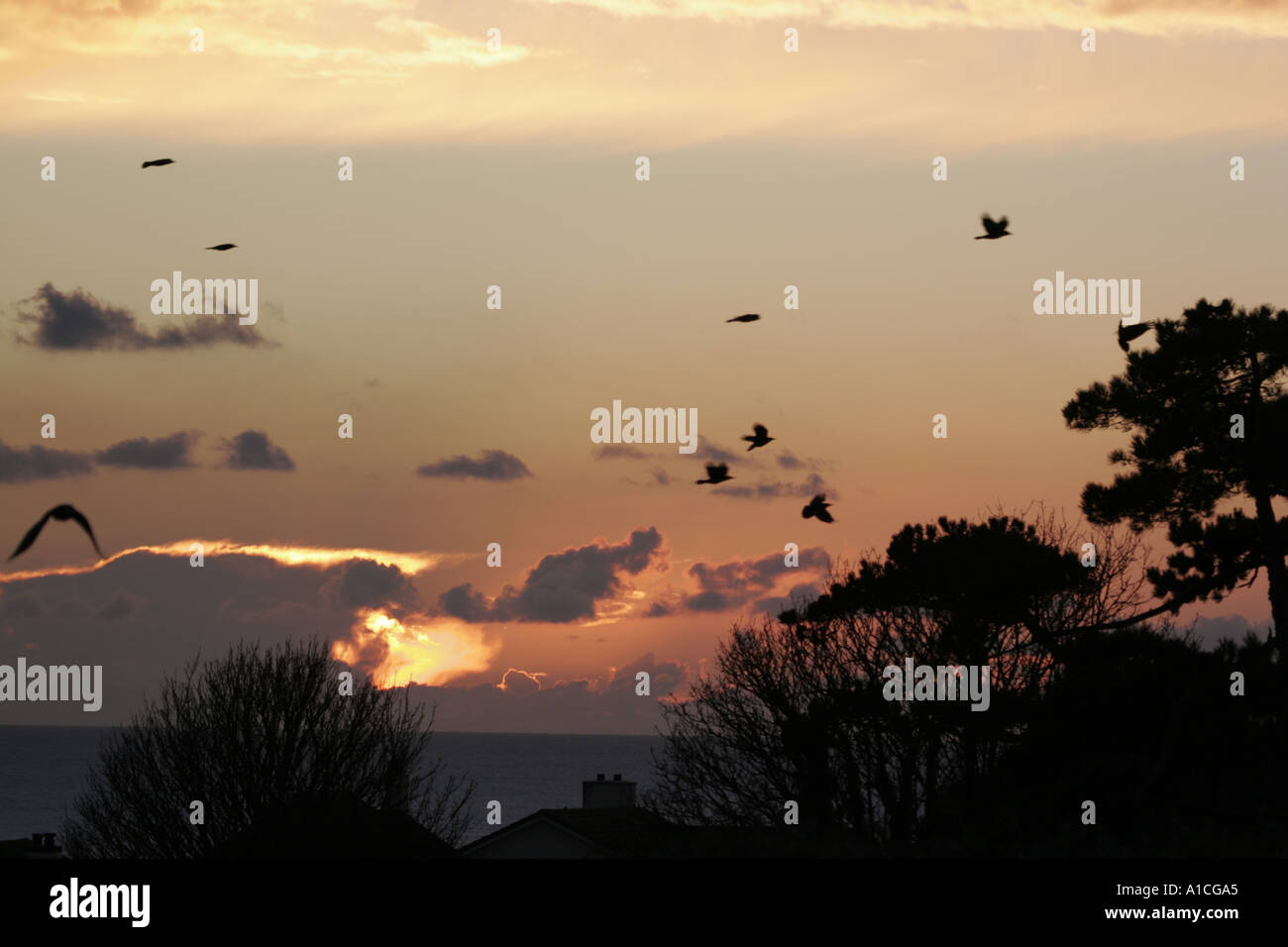 Devon England UK Stock Photo - Alamy