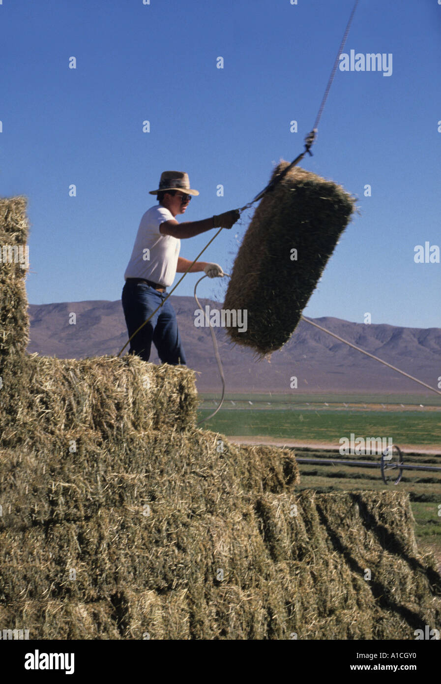Hay bale hook hi-res stock photography and images - Alamy