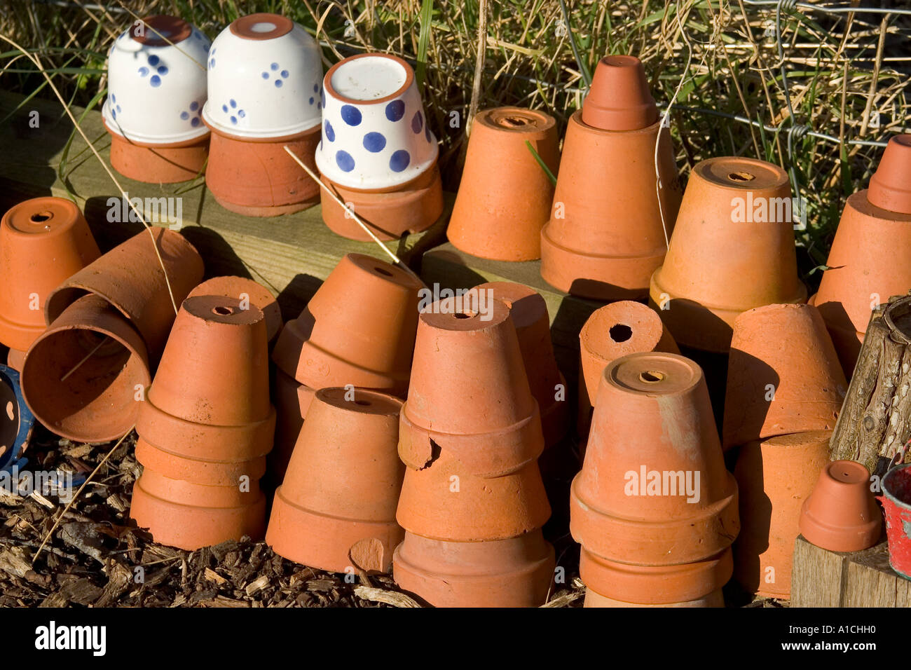 Teracotta pot herbs hires stock photography and images Alamy
