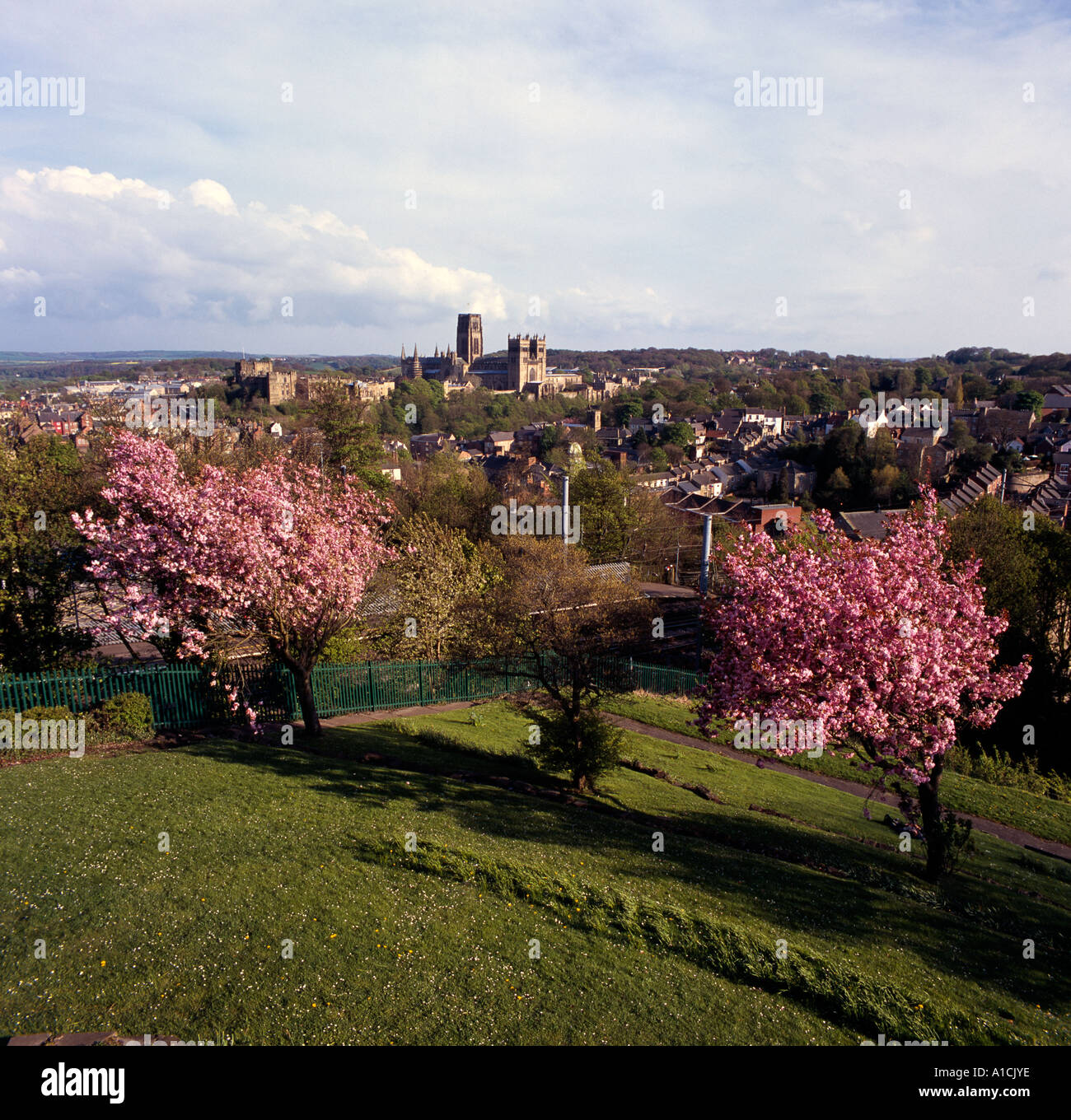 Durham from Wharton Park Stock Photo