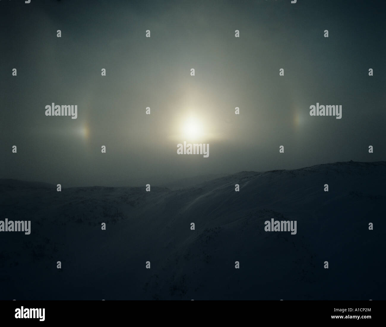 Sundog in Newfoundland Gros Morne National Park. Stock Photo
