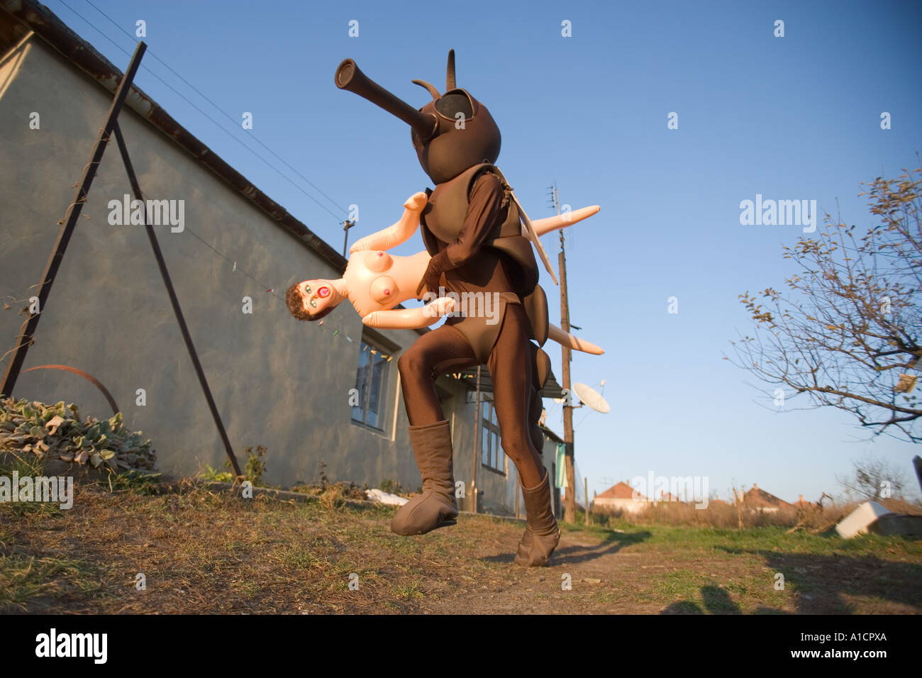 Man in shiny mosquito costume abducting a sex doll outside the village  Stock Photo - Alamy