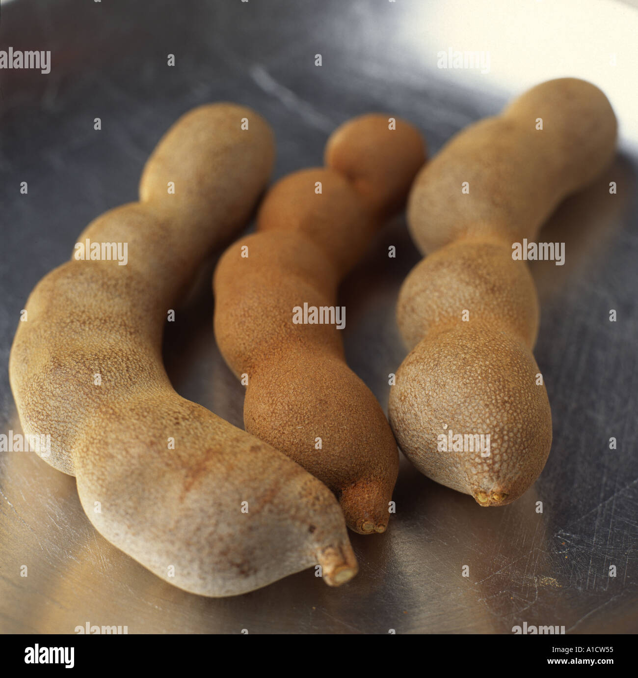 Tamarind pods Stock Photo