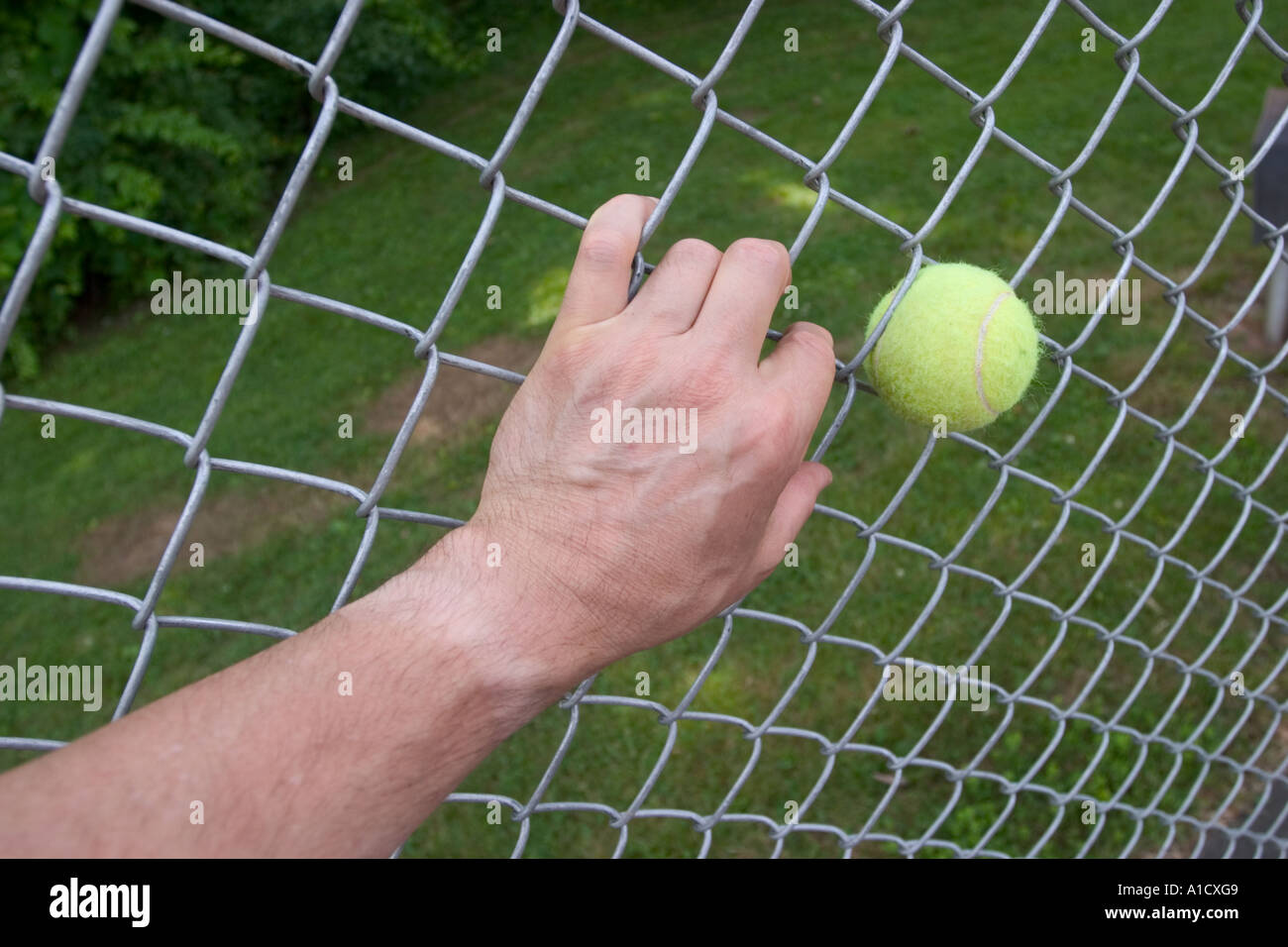 Tennis ball stuck in a metal chainlink fence Stock Photo Alamy