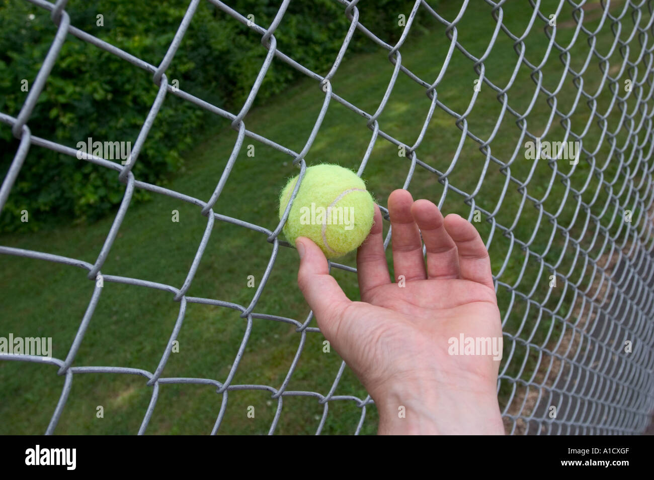 Tennis ball stuck in a metal chain-link fence. Stock Photo