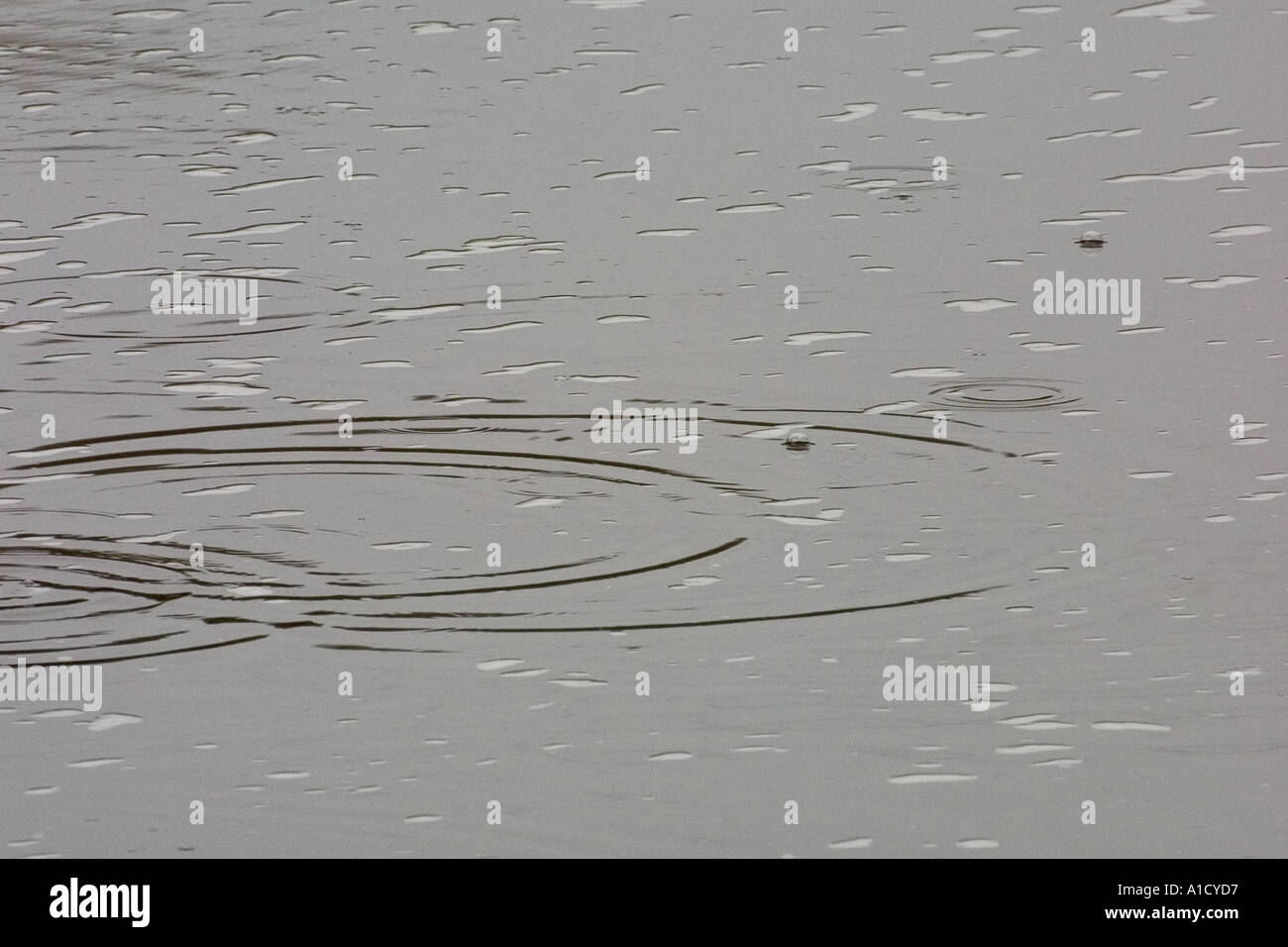 Water droplets disturbing the river surface Stock Photo