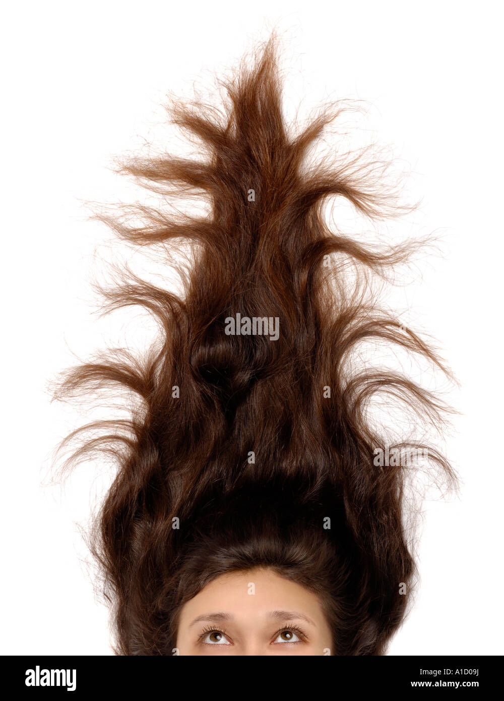 Woman With Funny Christmas Tree Shaped Hair Style Isolated