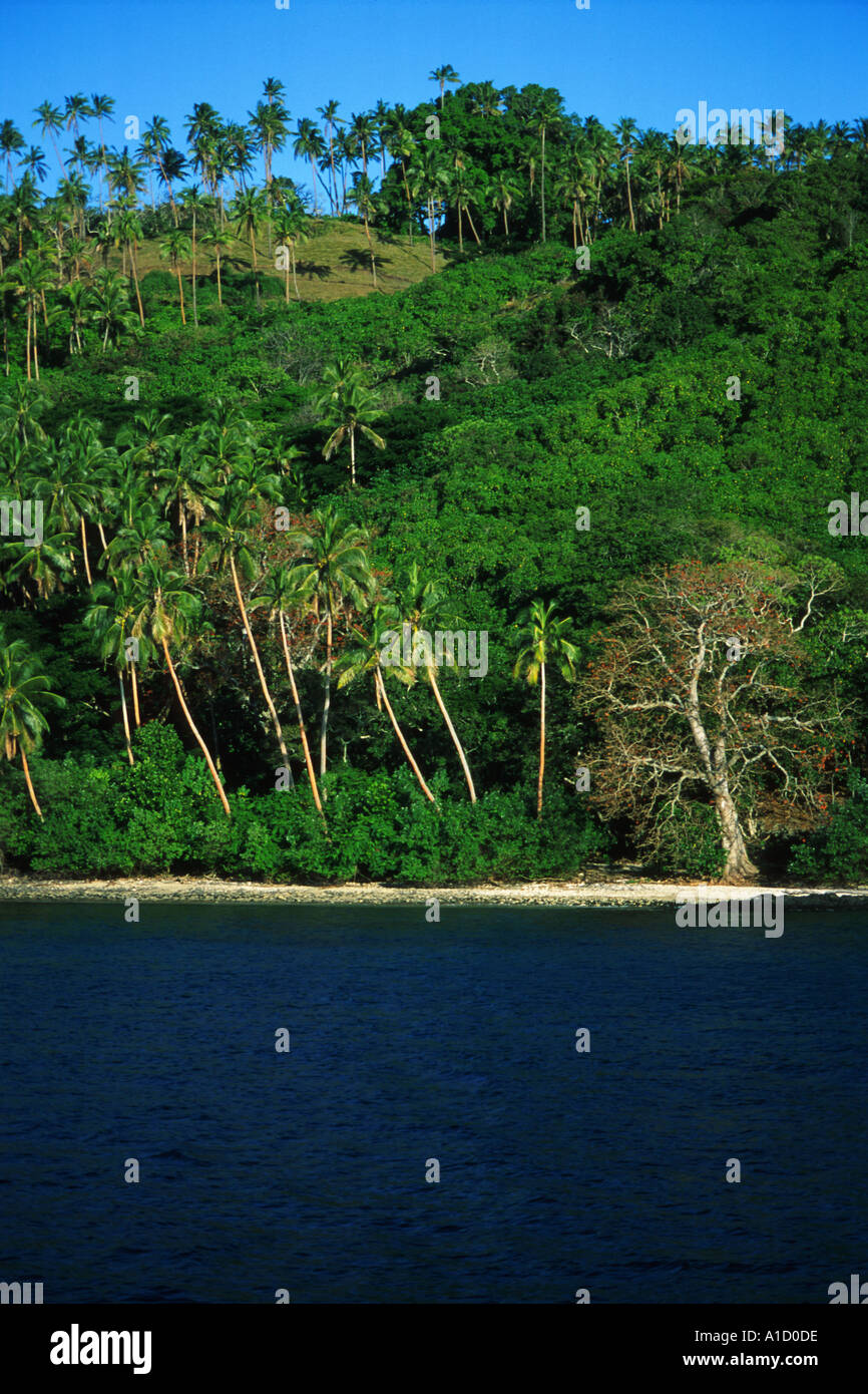 Jungle beach hi-res stock photography and images - Alamy