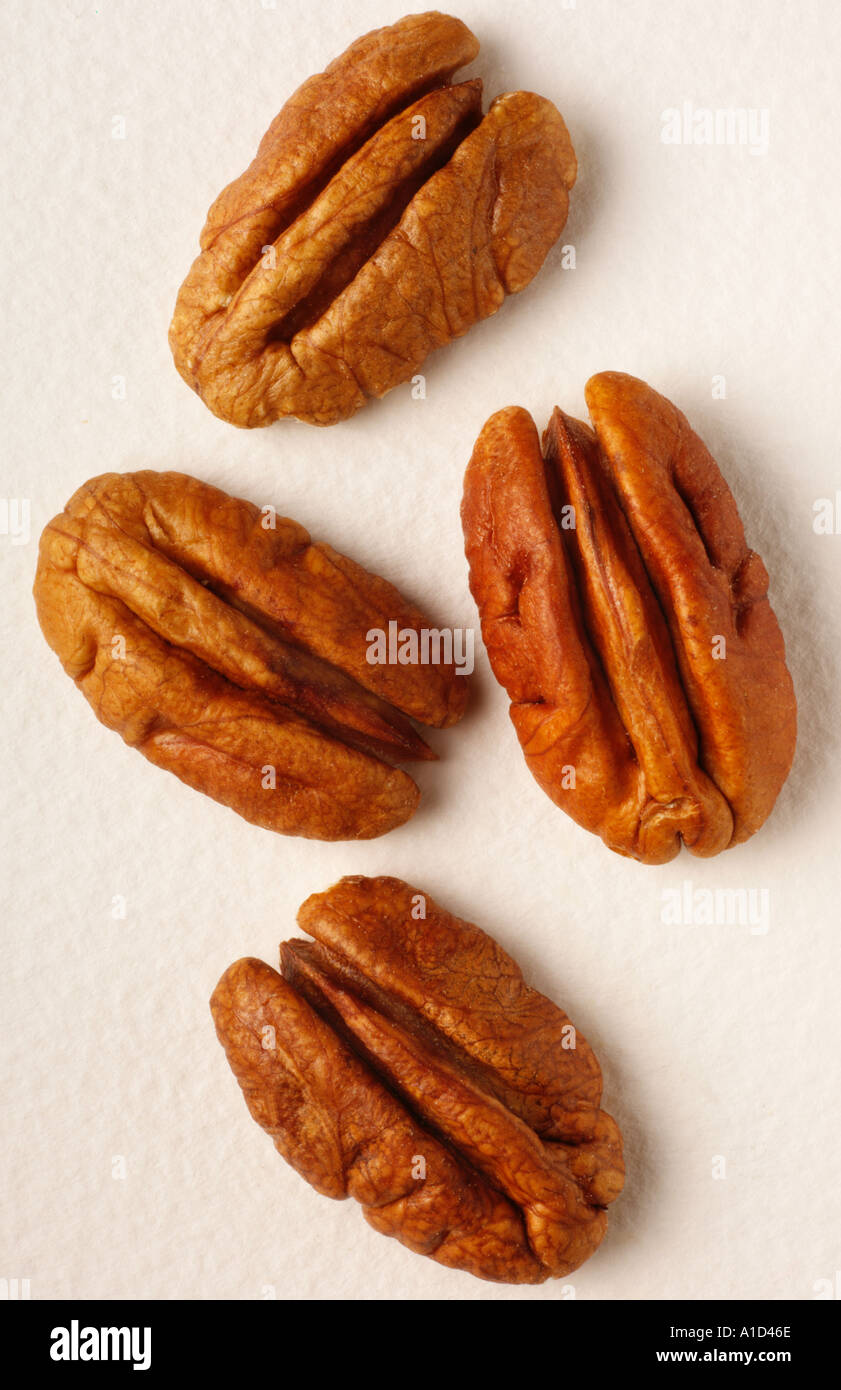 PECAN NUTS Stock Photo