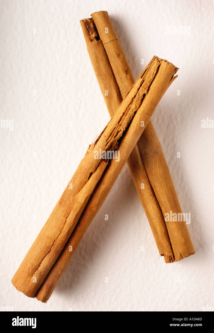CINNAMON Stock Photo