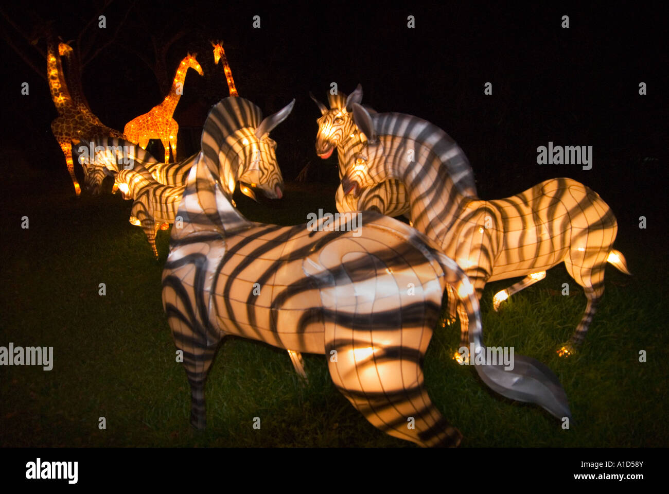 SINGAPORE NIGHT SAFARI ZOO  Illuminated animals at entrance Tiger Lion Rhinoceros zebra giraffe paper made mache Stock Photo