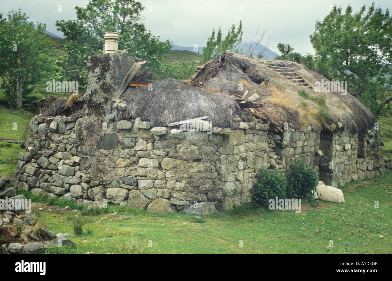 Abandoned derelict blackhouse thatched roof ruin stone highland Isle Stock Photo: 5841102 - Alamy