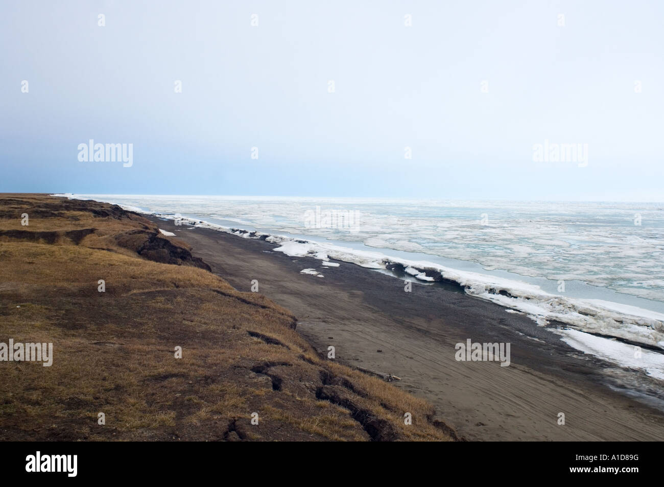 Point barrow alaska hires stock photography and images Alamy