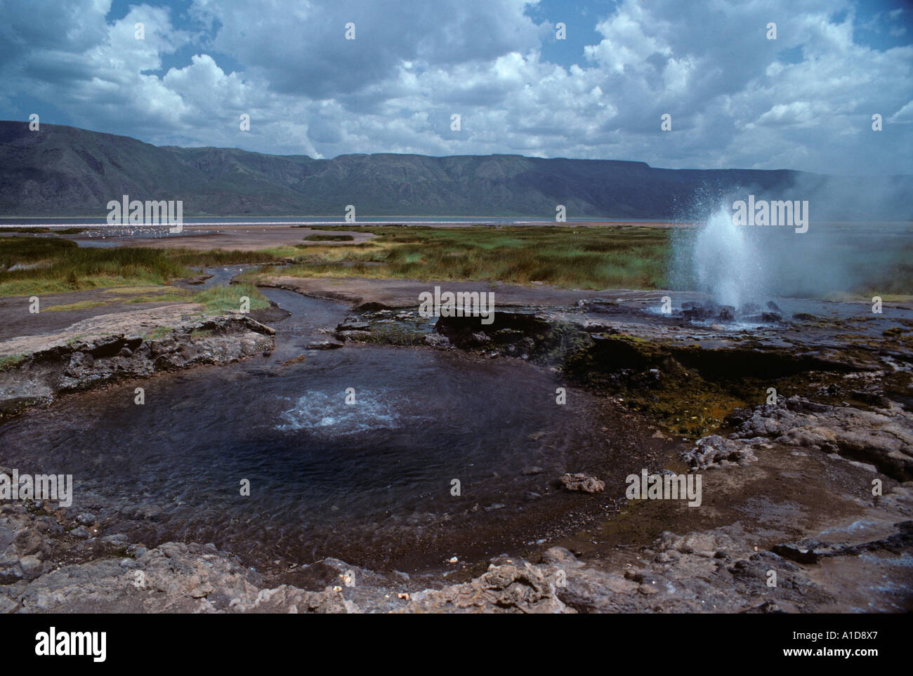 Hot Volcanic Springs Lake Borgoria Rift Valley Kenya Stock Photo