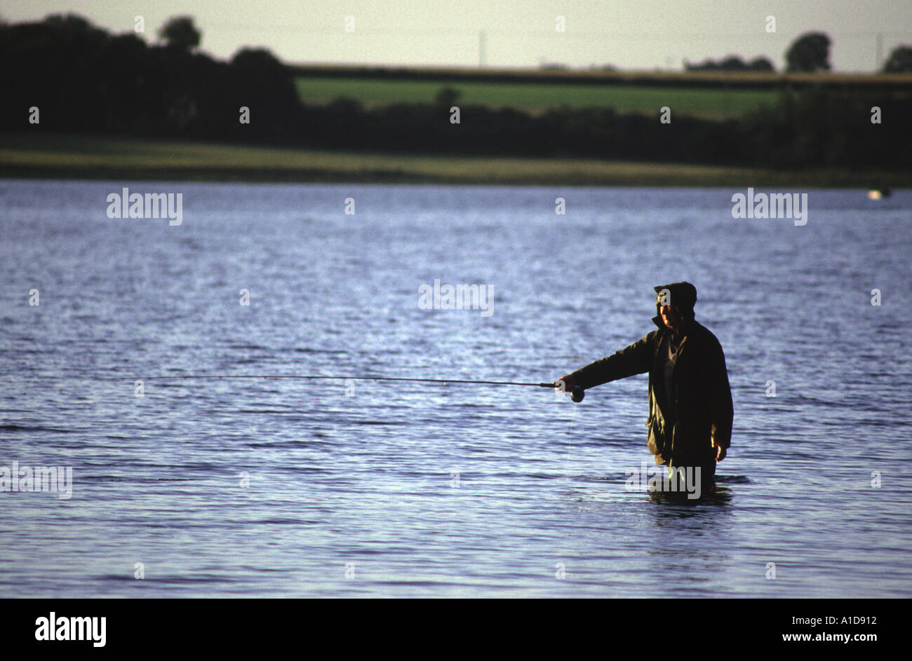 Fly Fishing for trout Cornwall UK Stock Photo Alamy